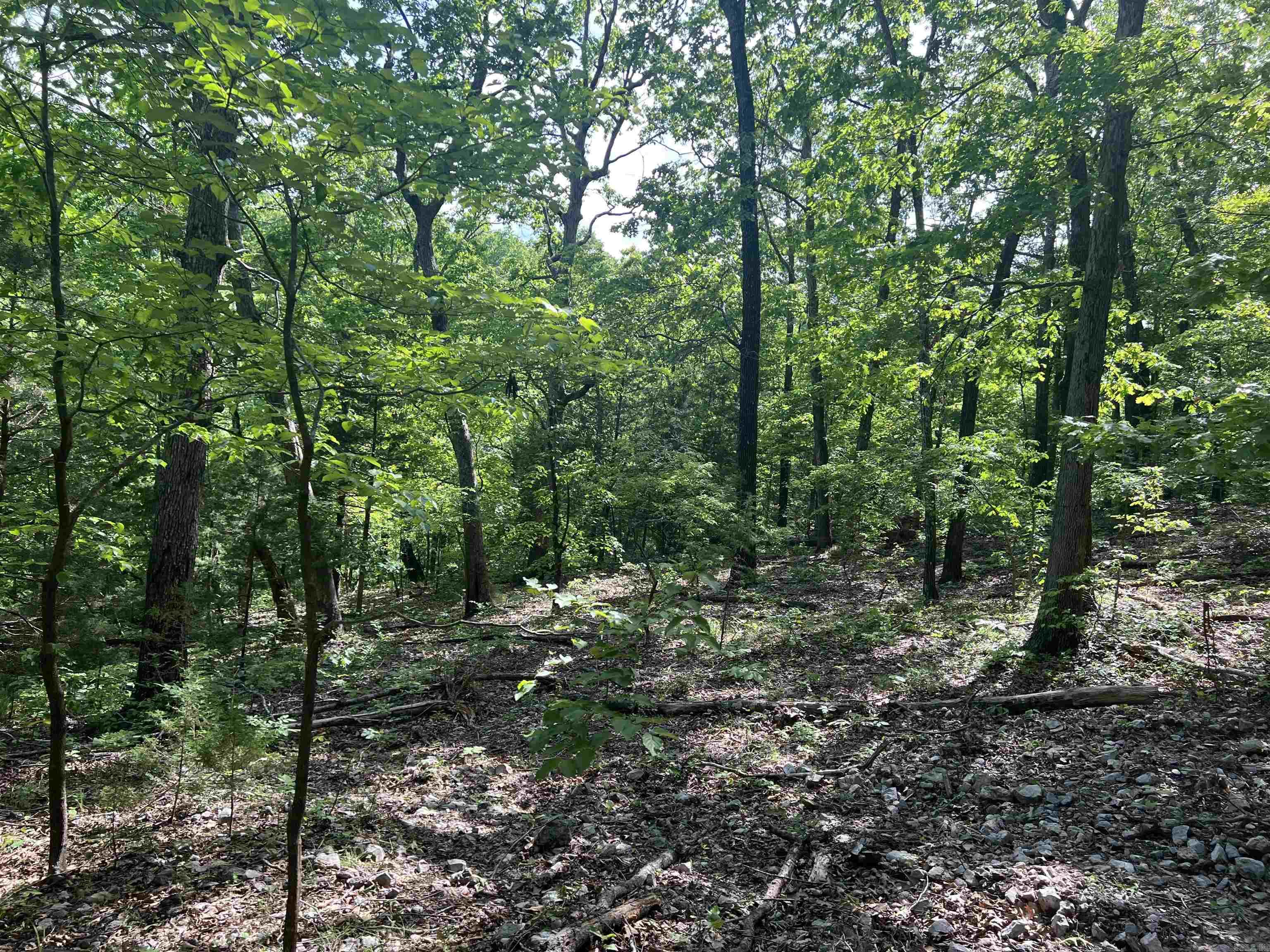 Cr 2909 Property Photo 11