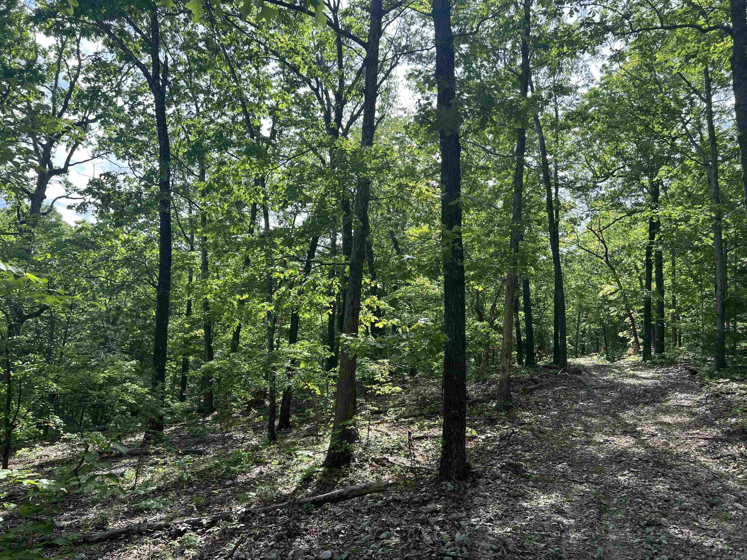 Cr 2909 Property Photo 12