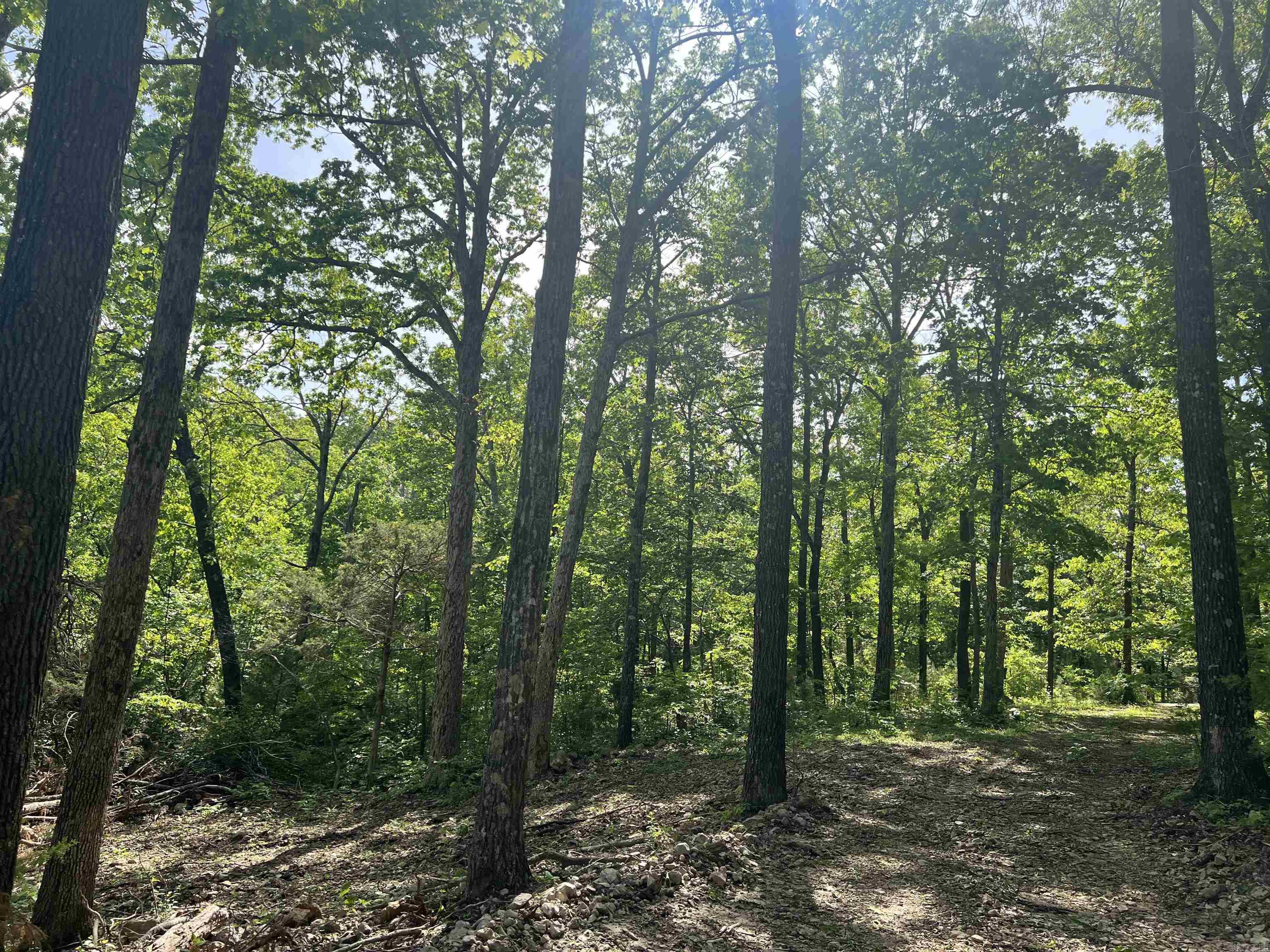 Cr 2909 Property Photo 13