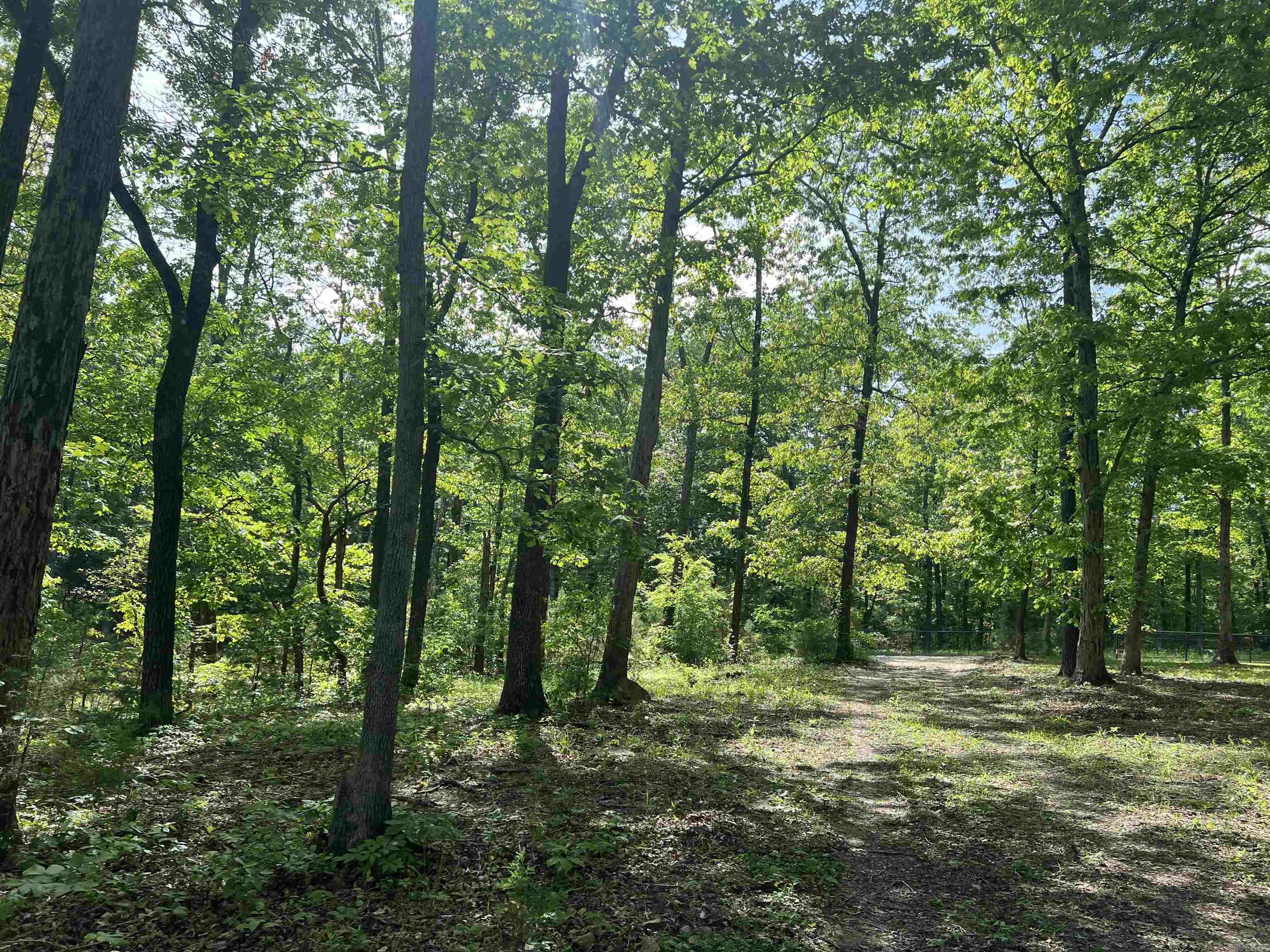 Cr 2909 Property Photo 14