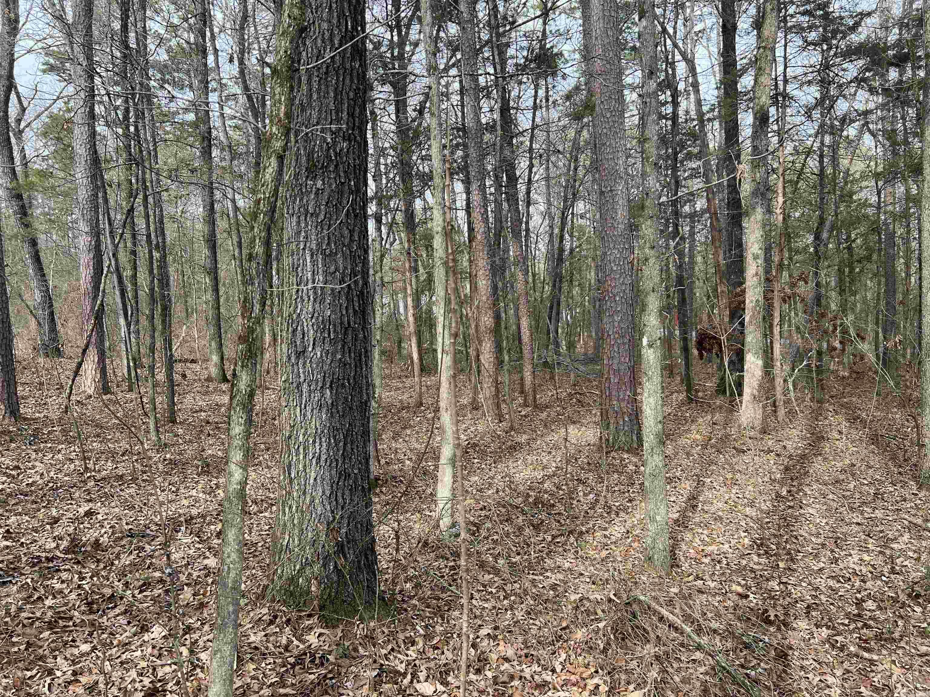 Budd Creek Real Estate Listings Main Image