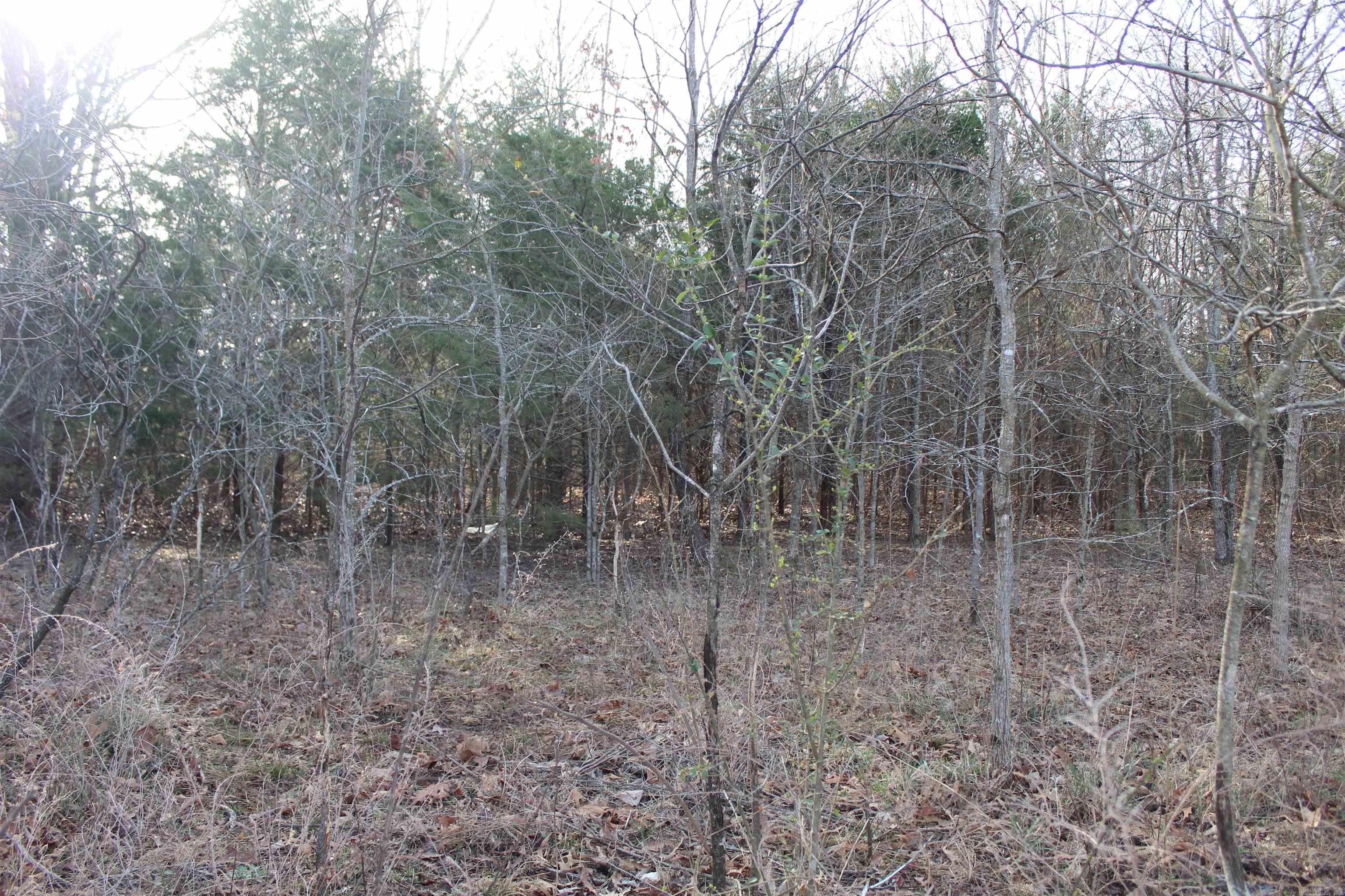 761-00014-000 Falltime Drive Property Photo 4