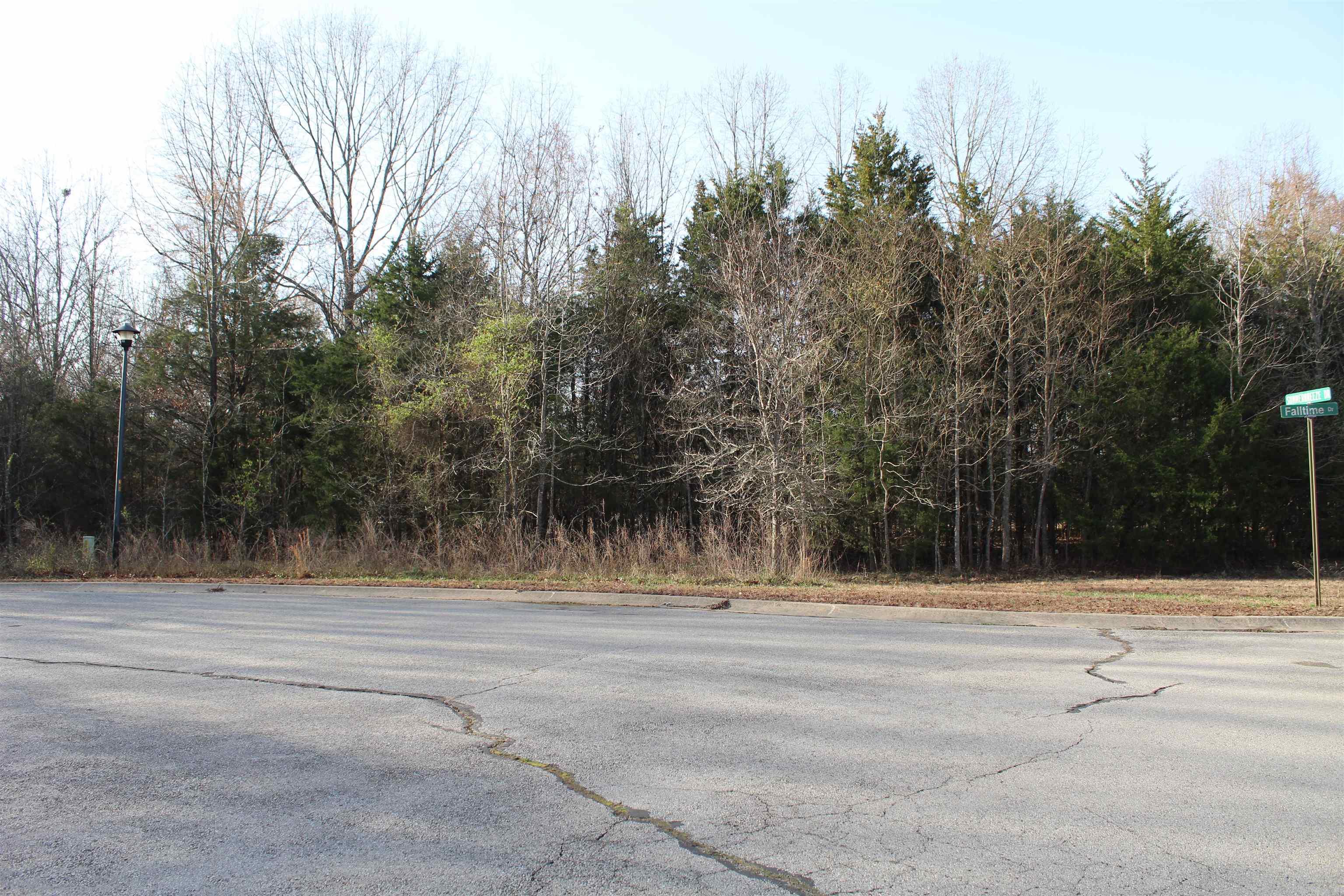 761-00013-00 Falltime Drive Property Photo 2