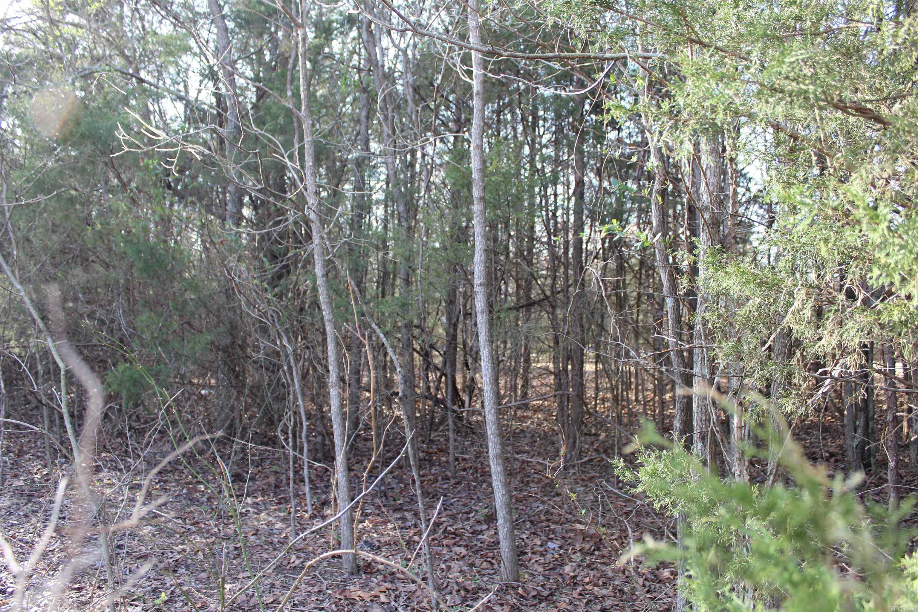 761-00013-00 Falltime Drive Property Photo 3