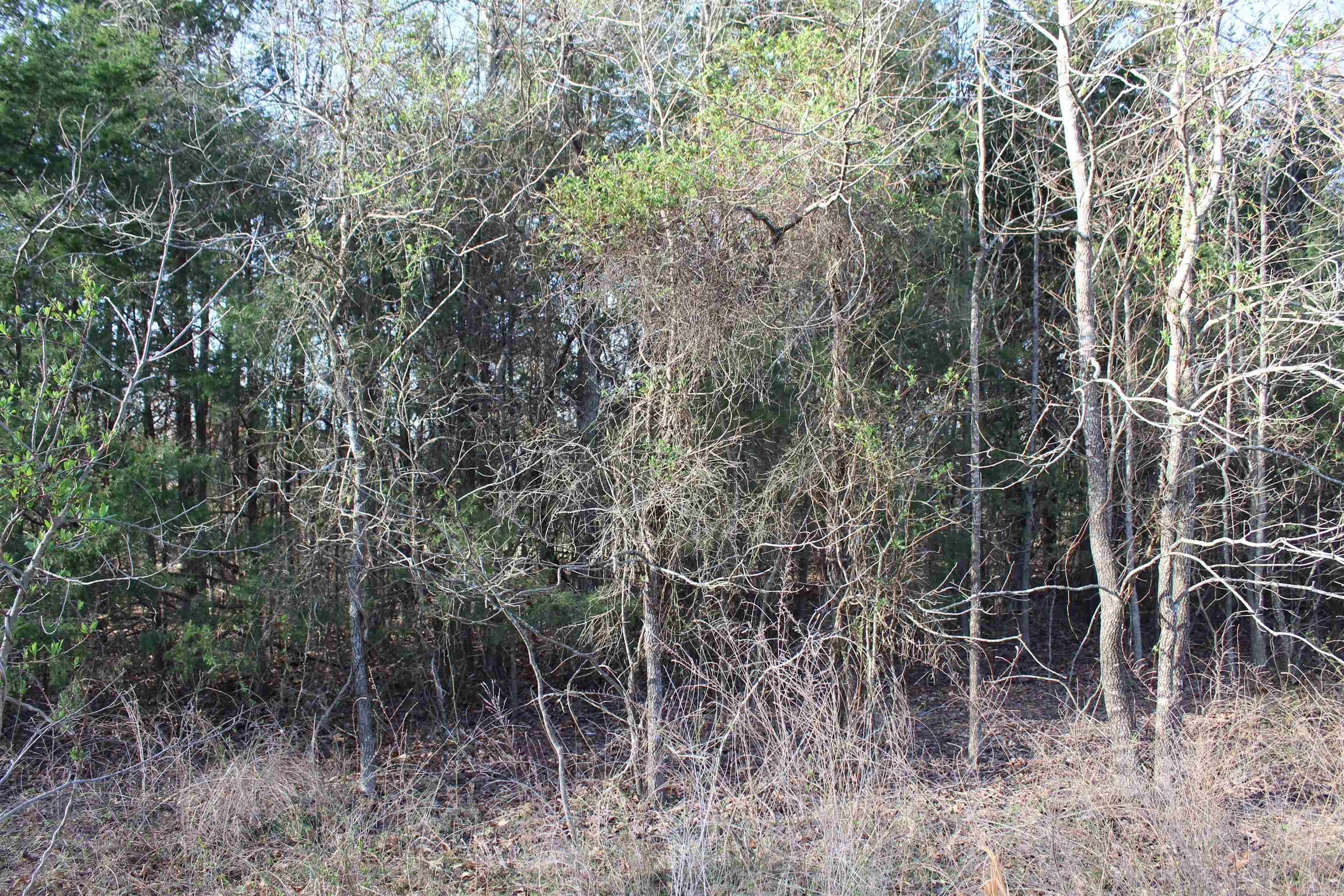 761-00013-00 Falltime Drive Property Photo 4