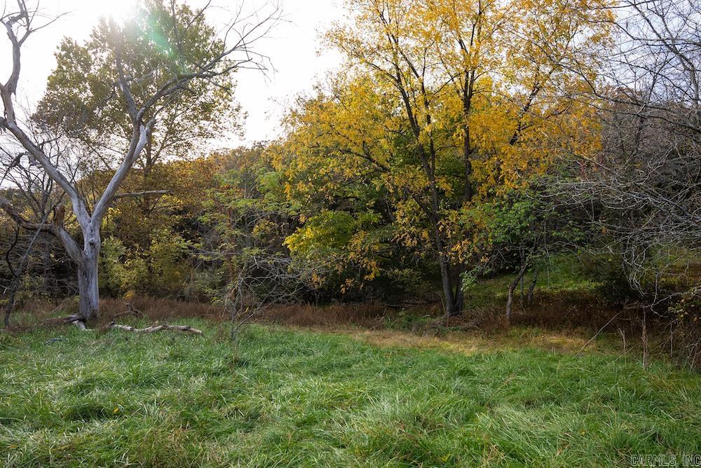 8 Cr 663 Property Photo 3