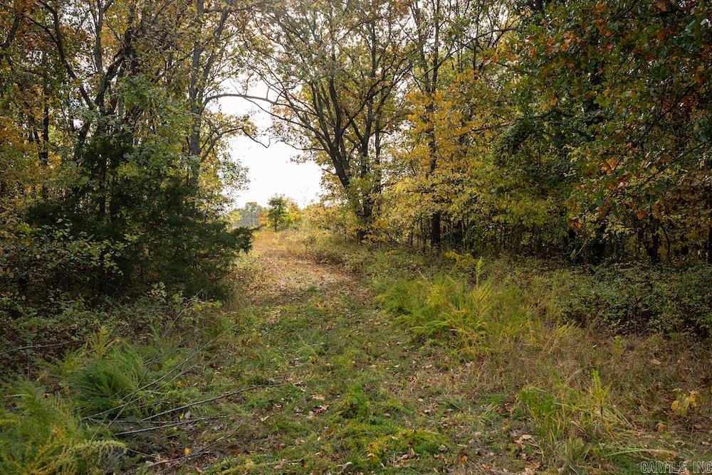 8 Cr 663 Property Photo 6