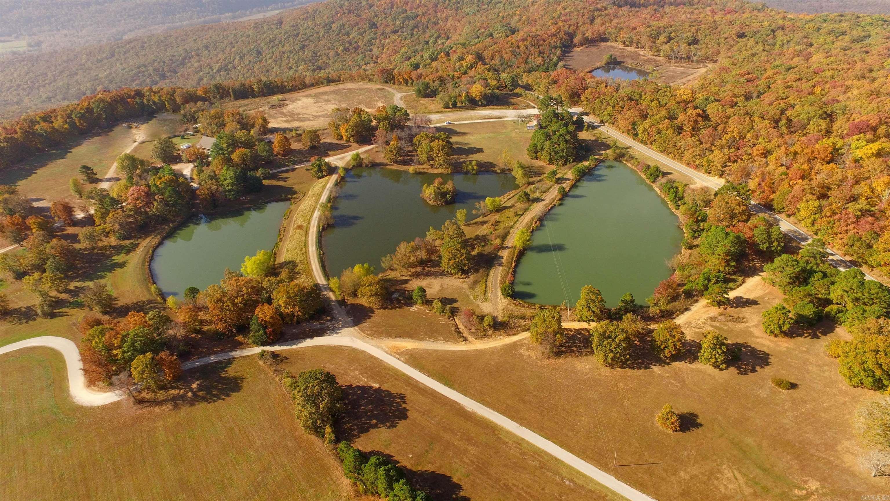 4117 Mulberry Mountain Loop Property Photo 20