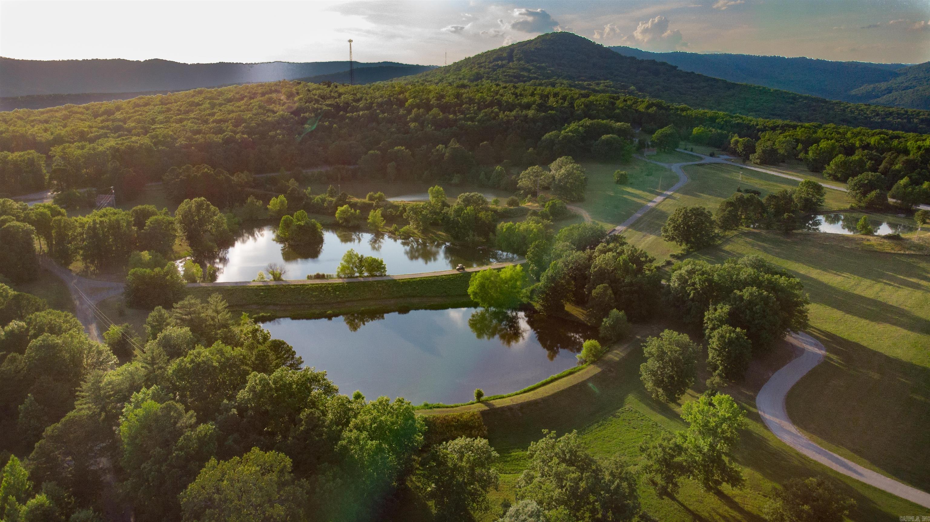 4117 Mulberry Mountain Loop Property Photo 22
