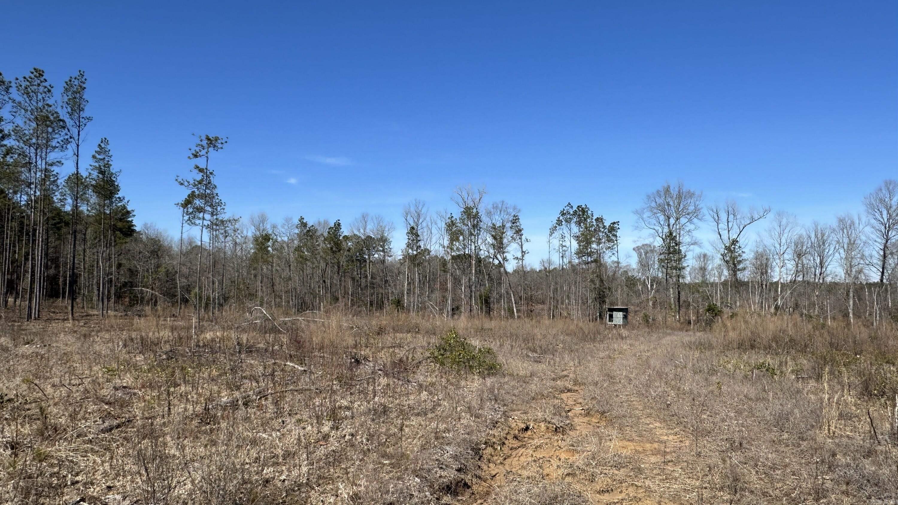9489 Princeton Pike Property Photo 10