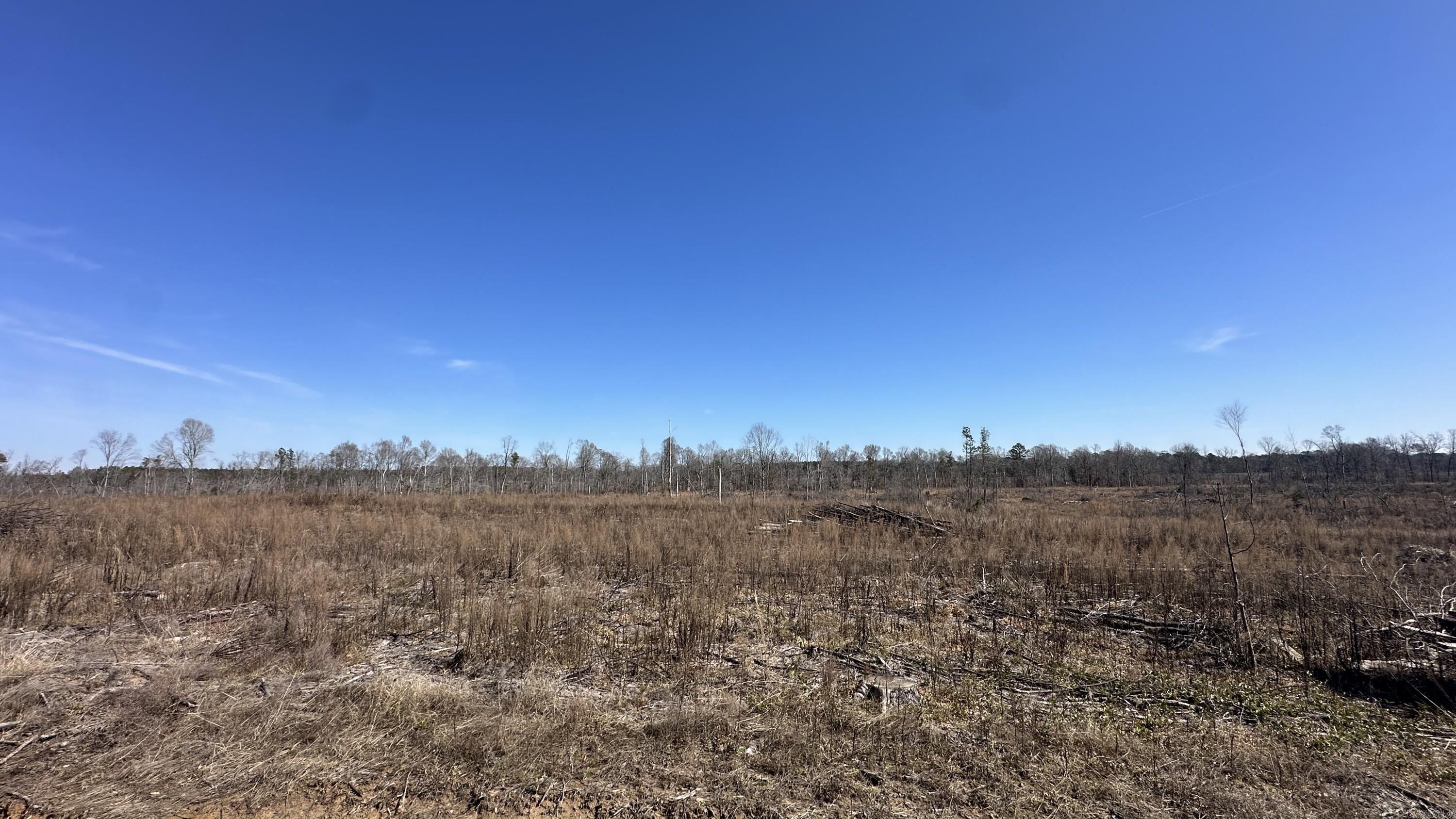 9489 Princeton Pike Property Photo 13