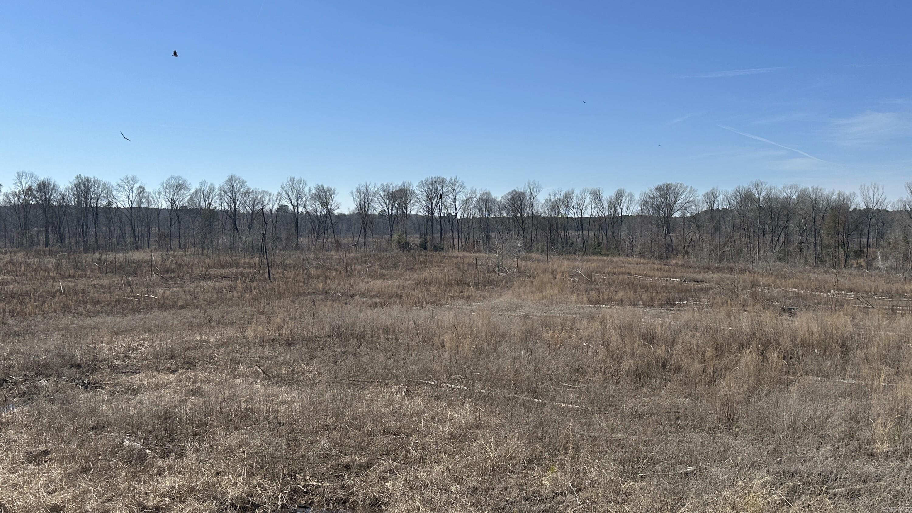 9489 Princeton Pike Property Photo 14