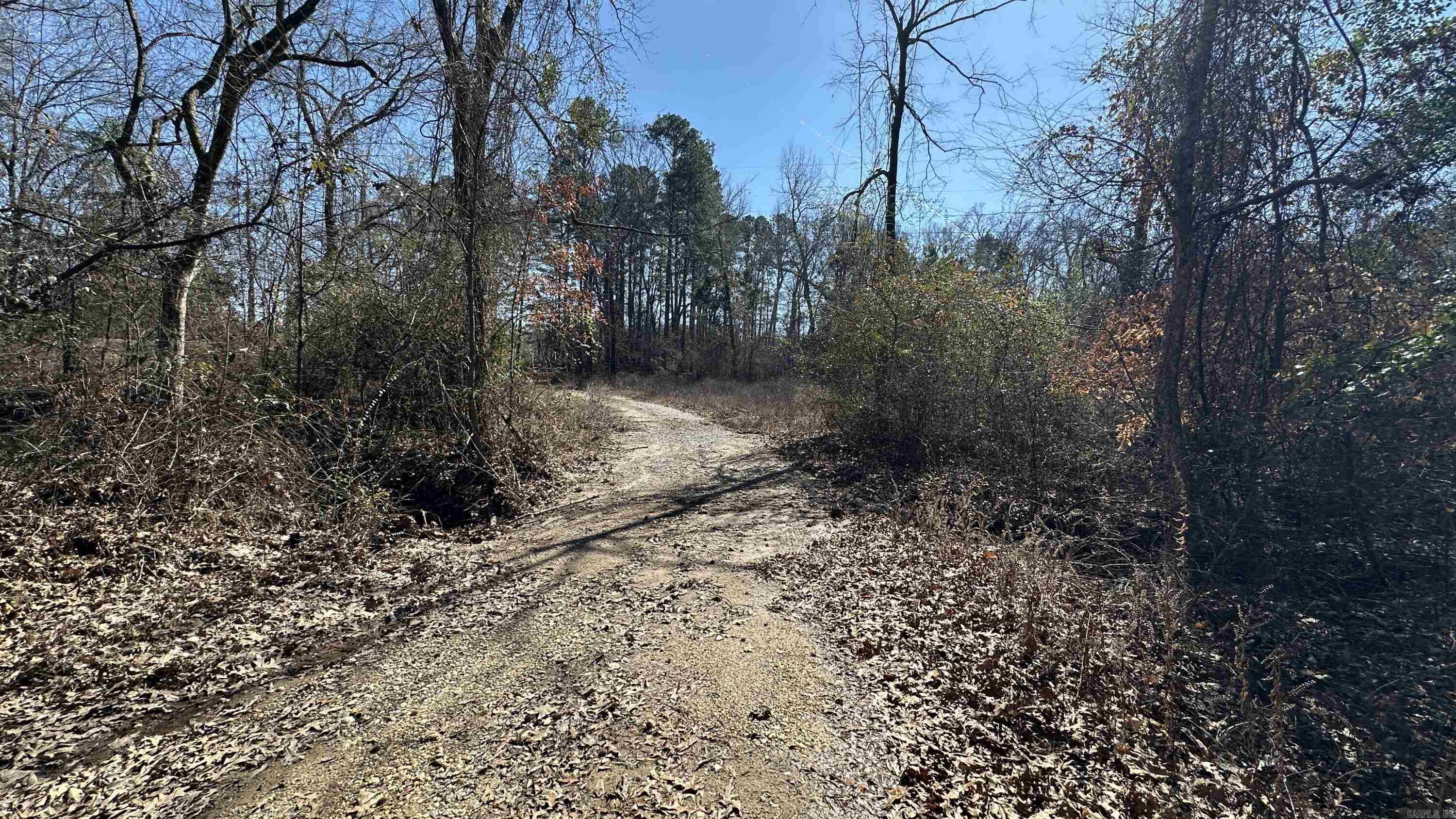 9489 Princeton Pike Property Photo 15