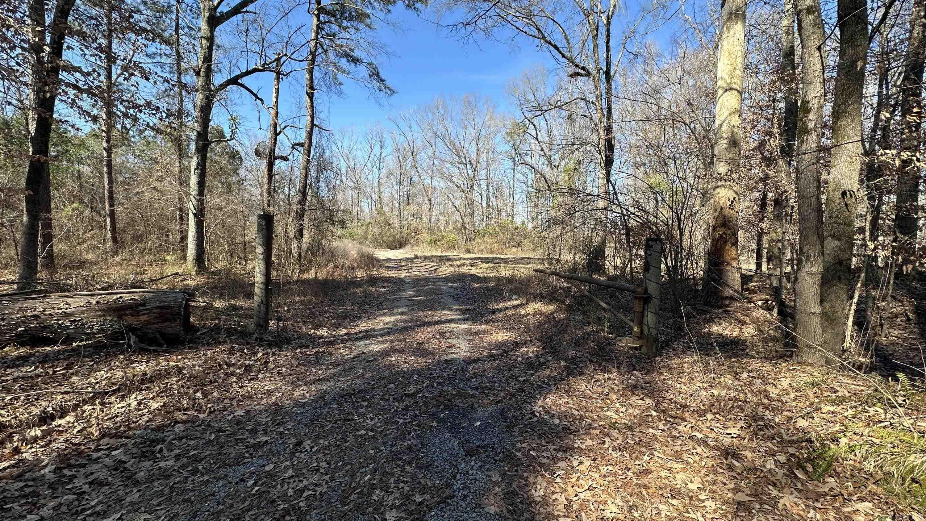 9489 Princeton Pike Property Photo 17