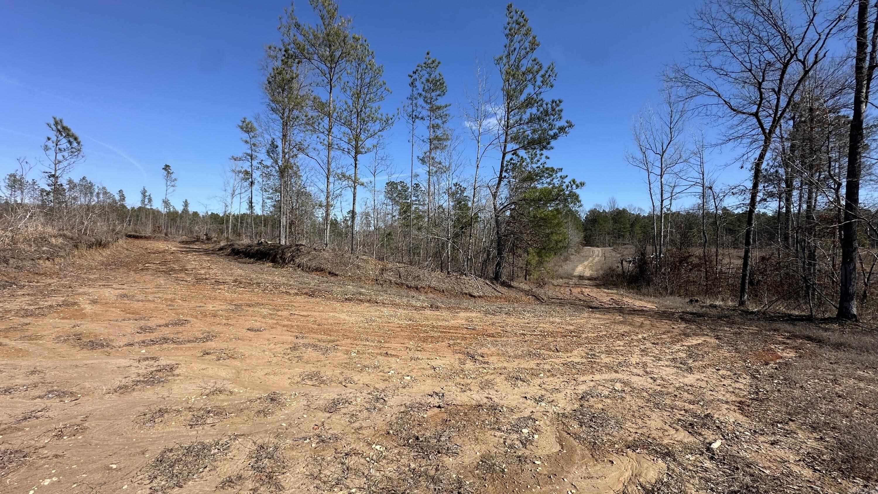9489 Princeton Pike Property Photo 19
