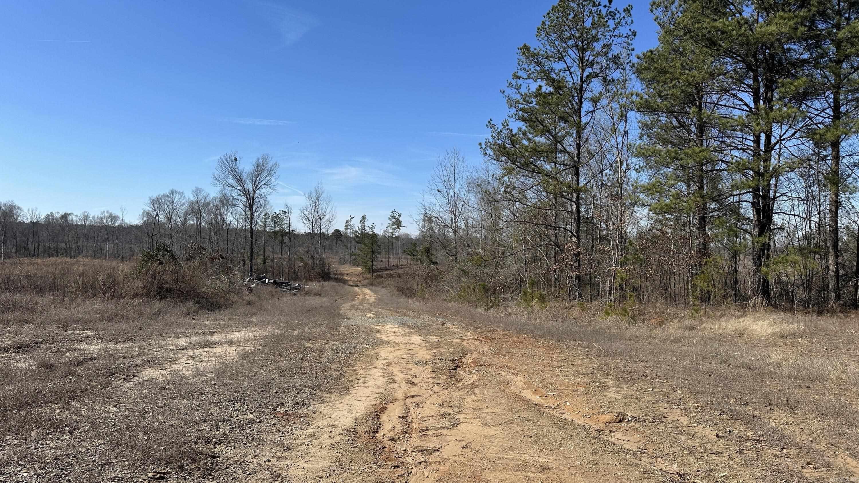 9489 Princeton Pike Property Photo 24