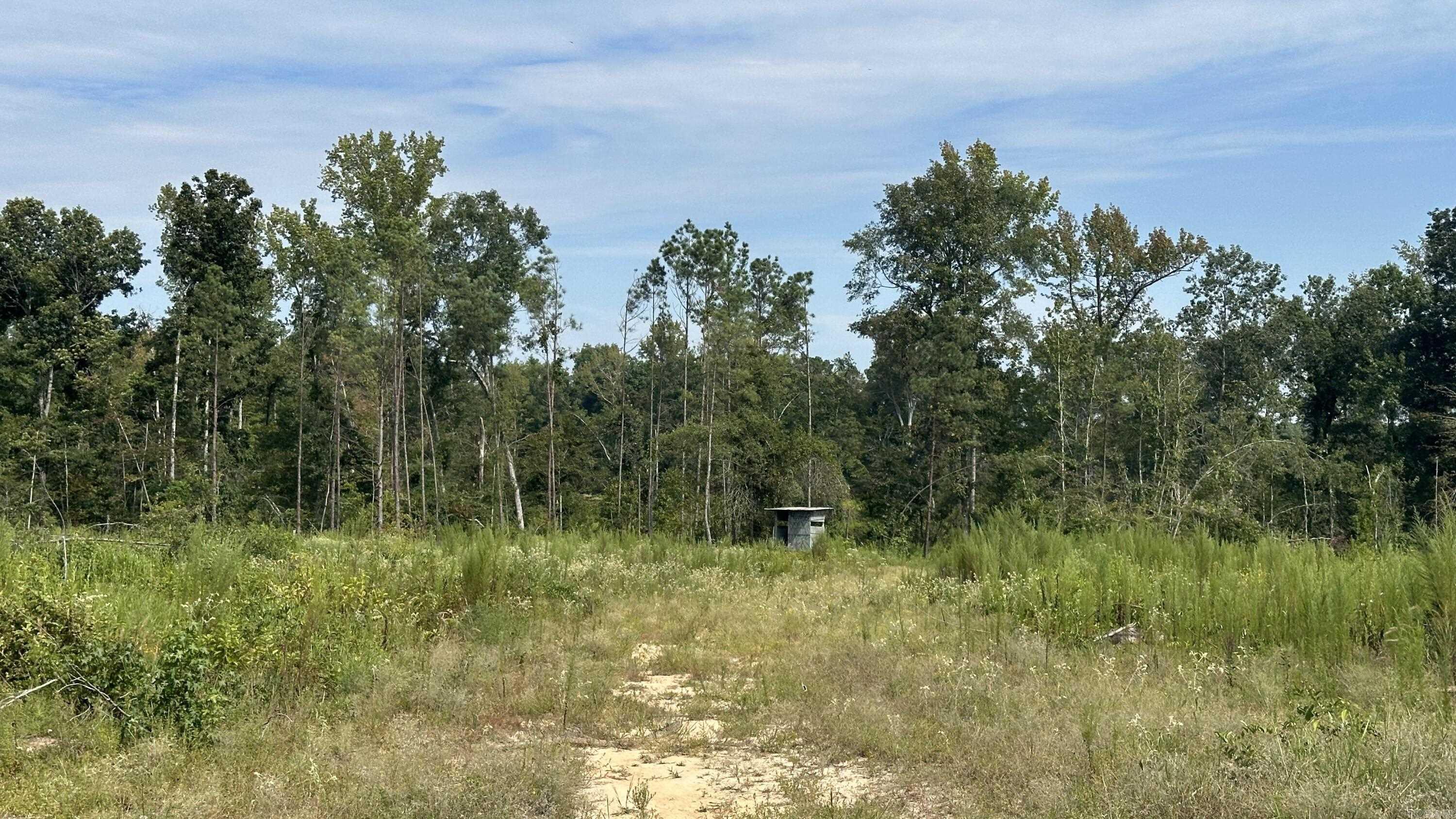 9489 Princeton Pike Property Photo 25
