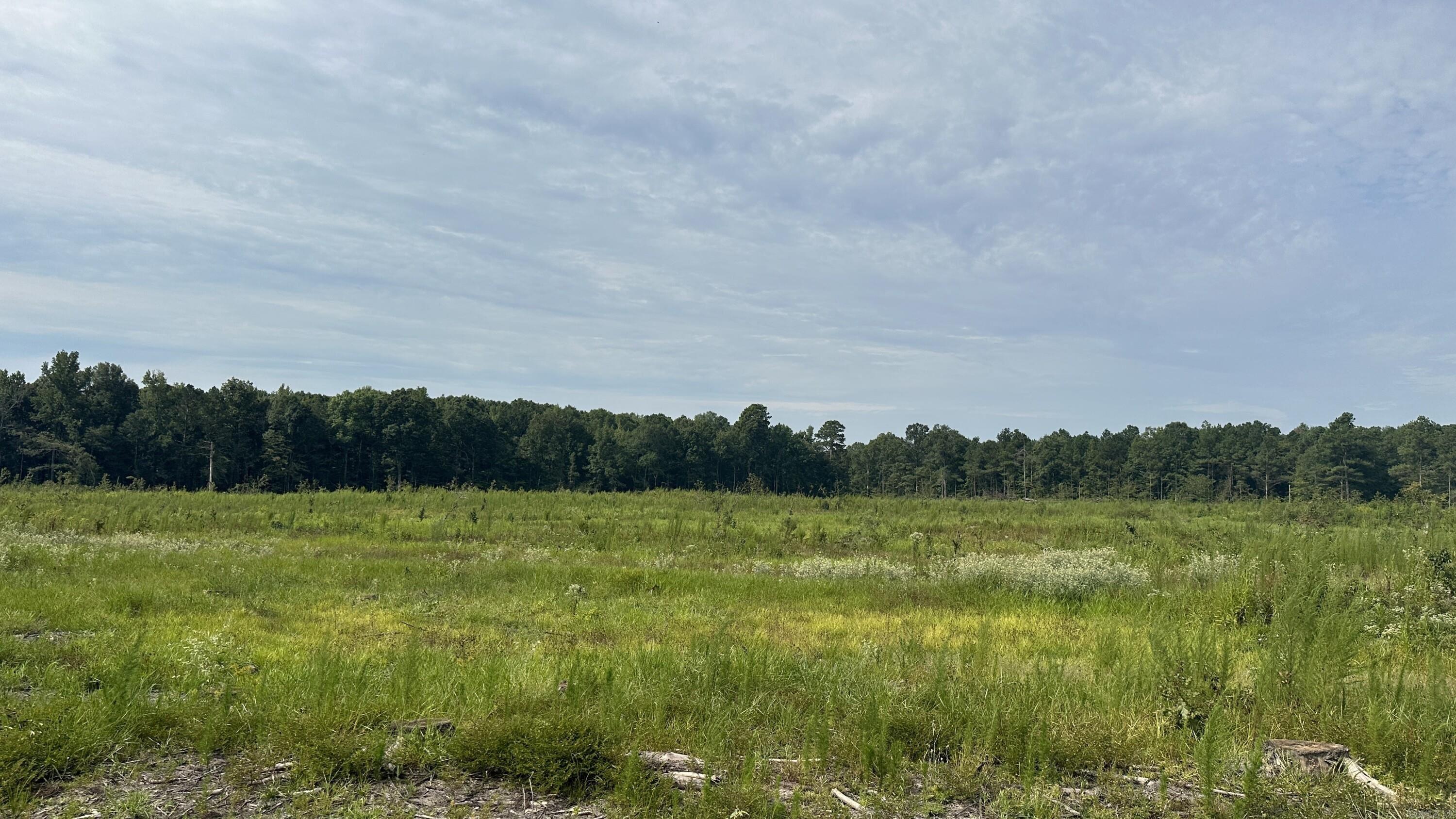 9489 Princeton Pike Property Photo 31