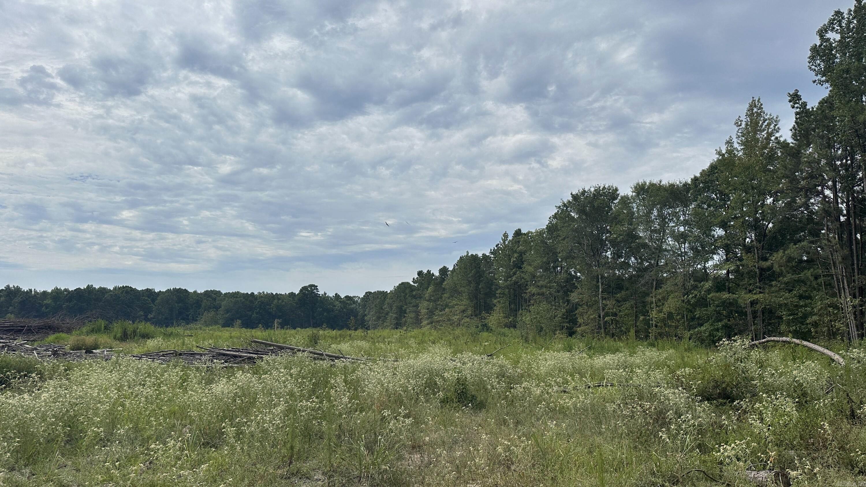 9489 Princeton Pike Property Photo 35