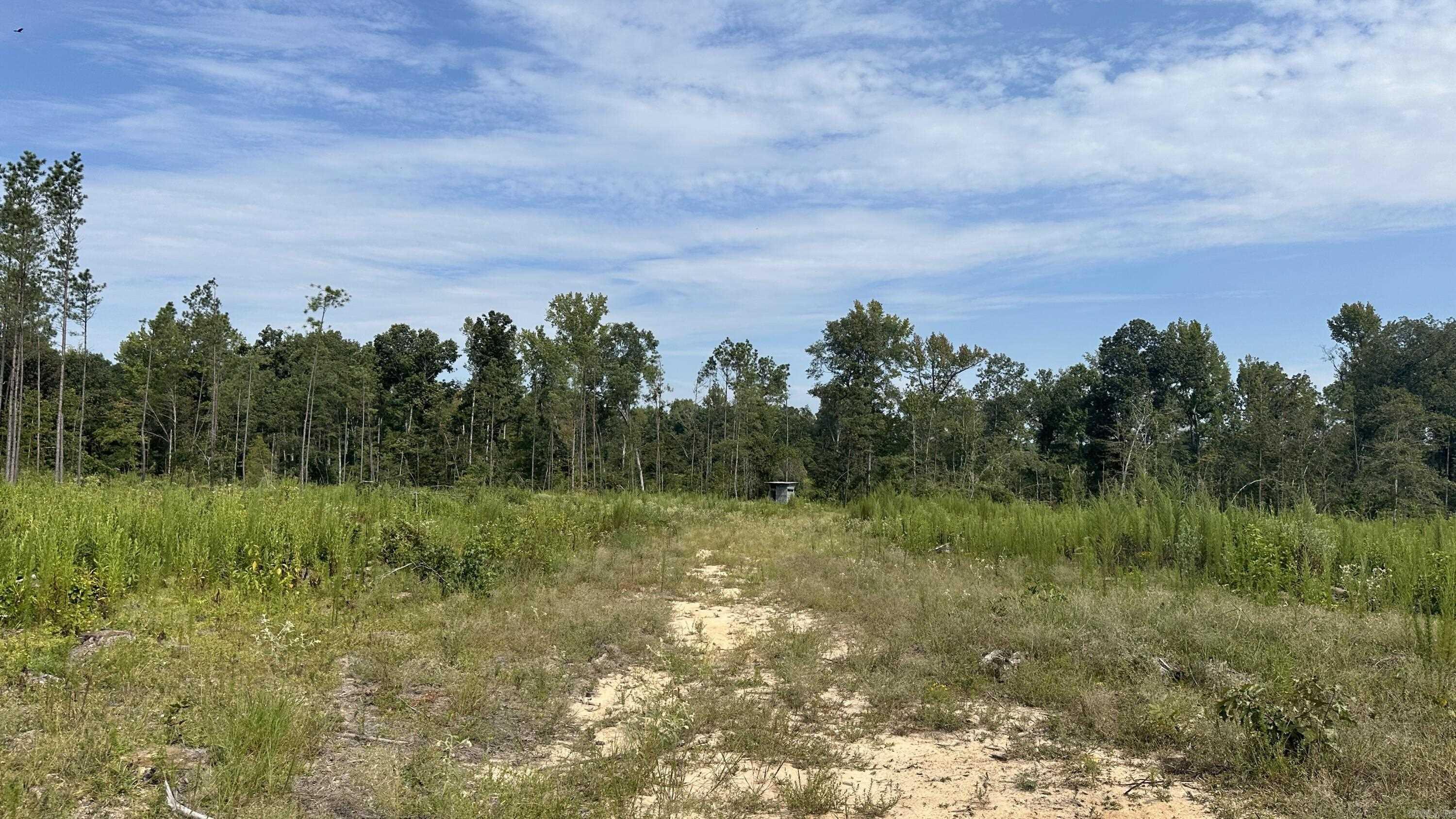 9489 Princeton Pike Property Photo 37