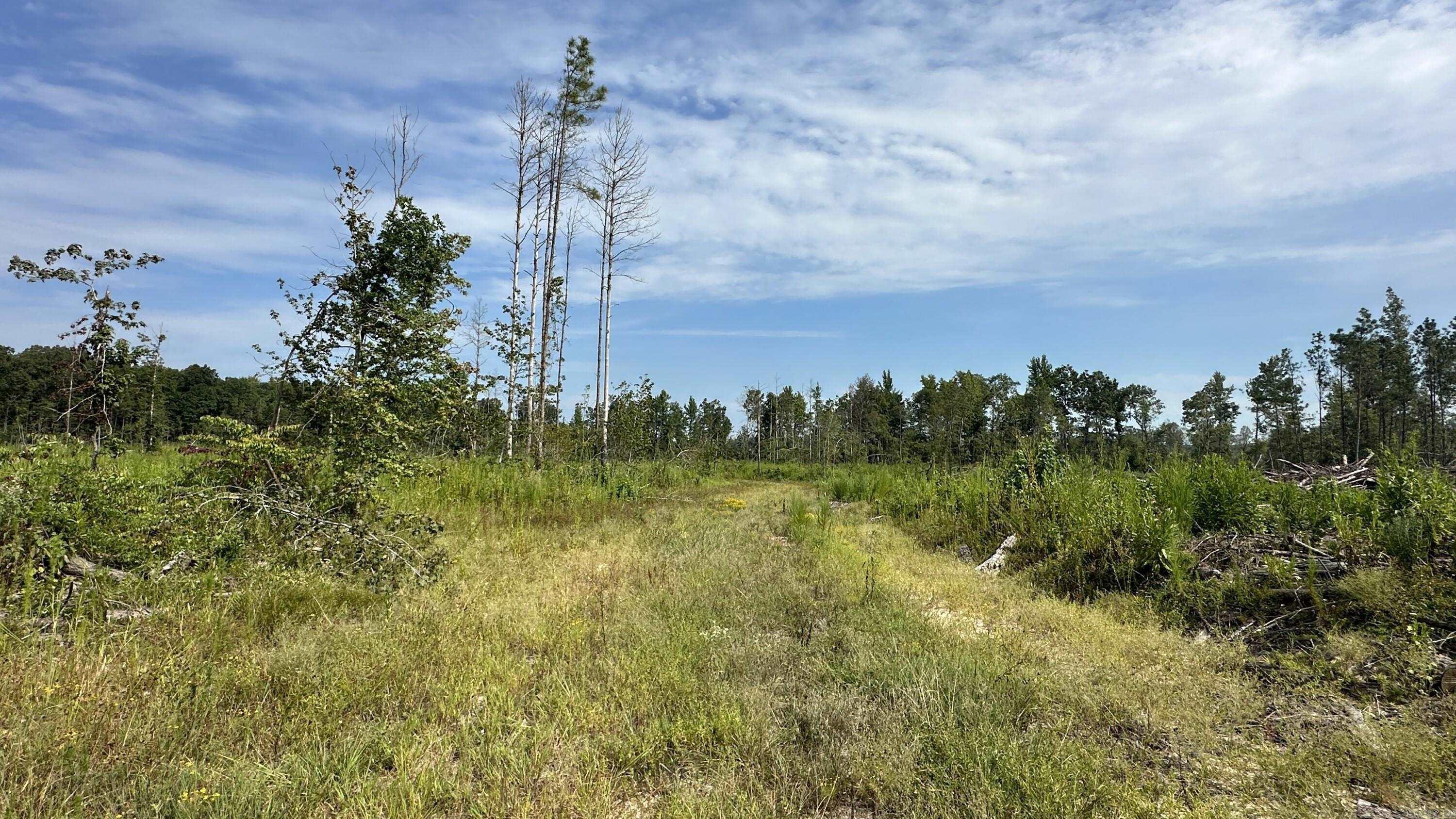9489 Princeton Pike Property Photo 38