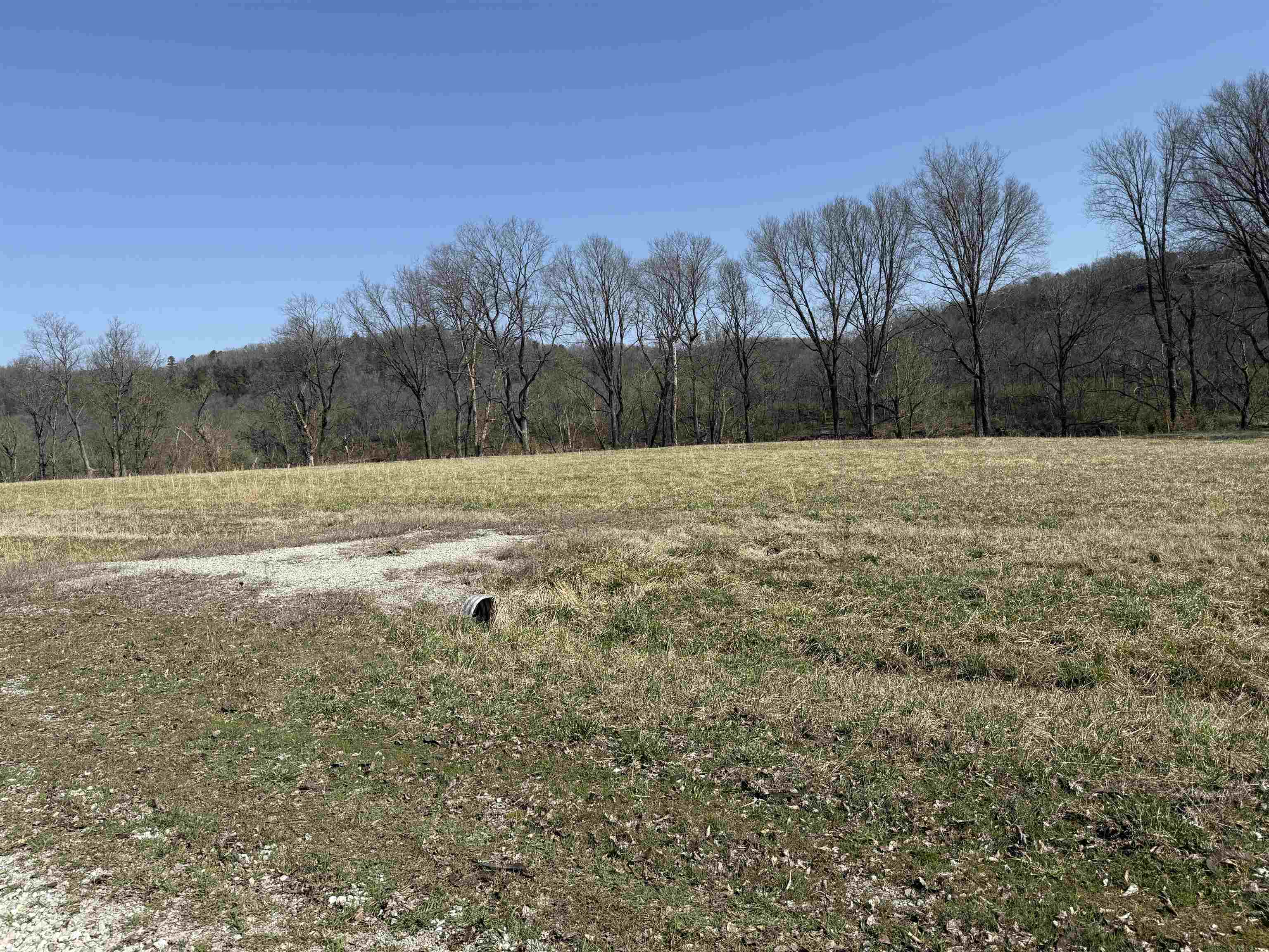 929 Mcphearson Terrace Property Photo 7