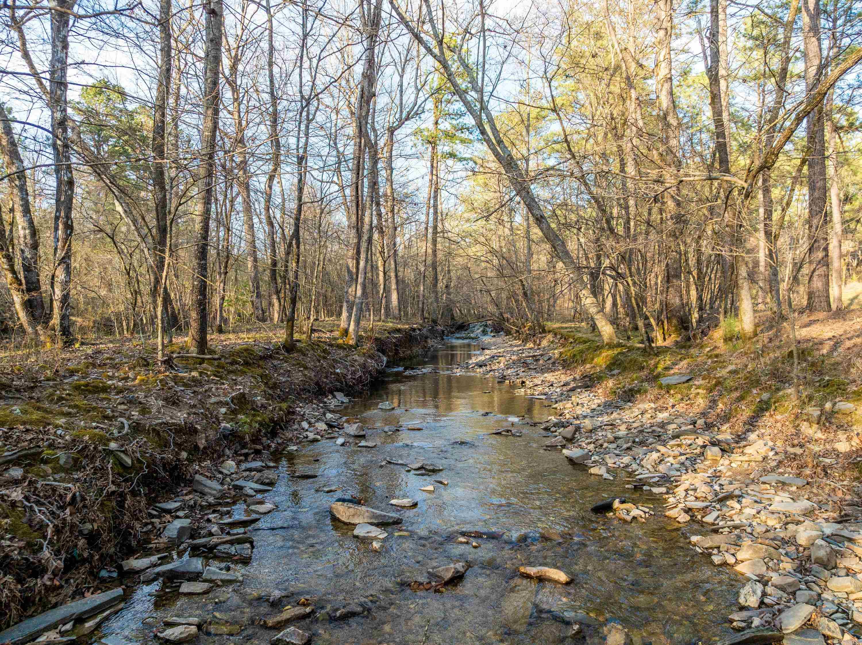 Tbd Cedar Creek Road Property Photo 2