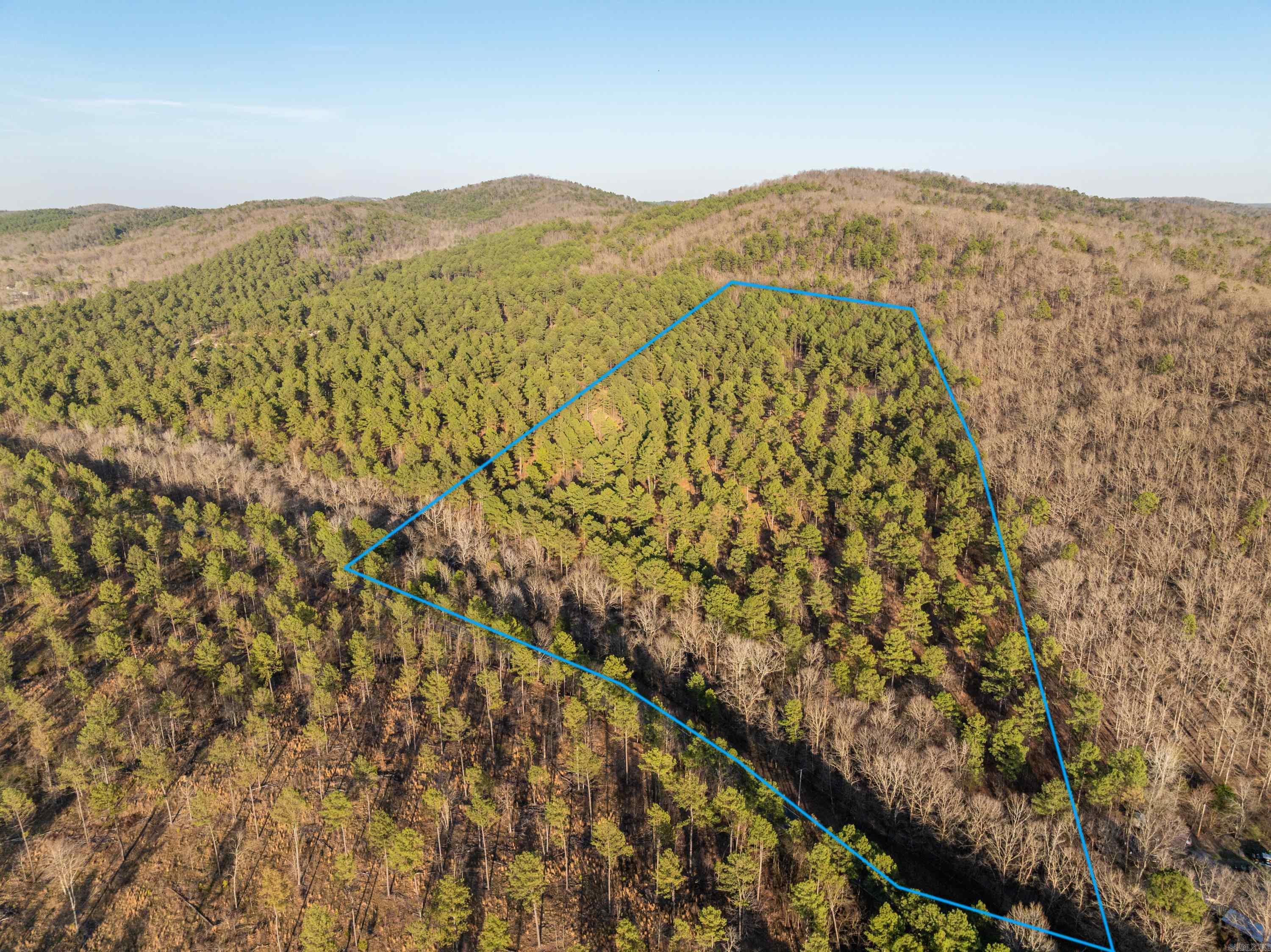 Tbd Cedar Creek Road Property Photo 4