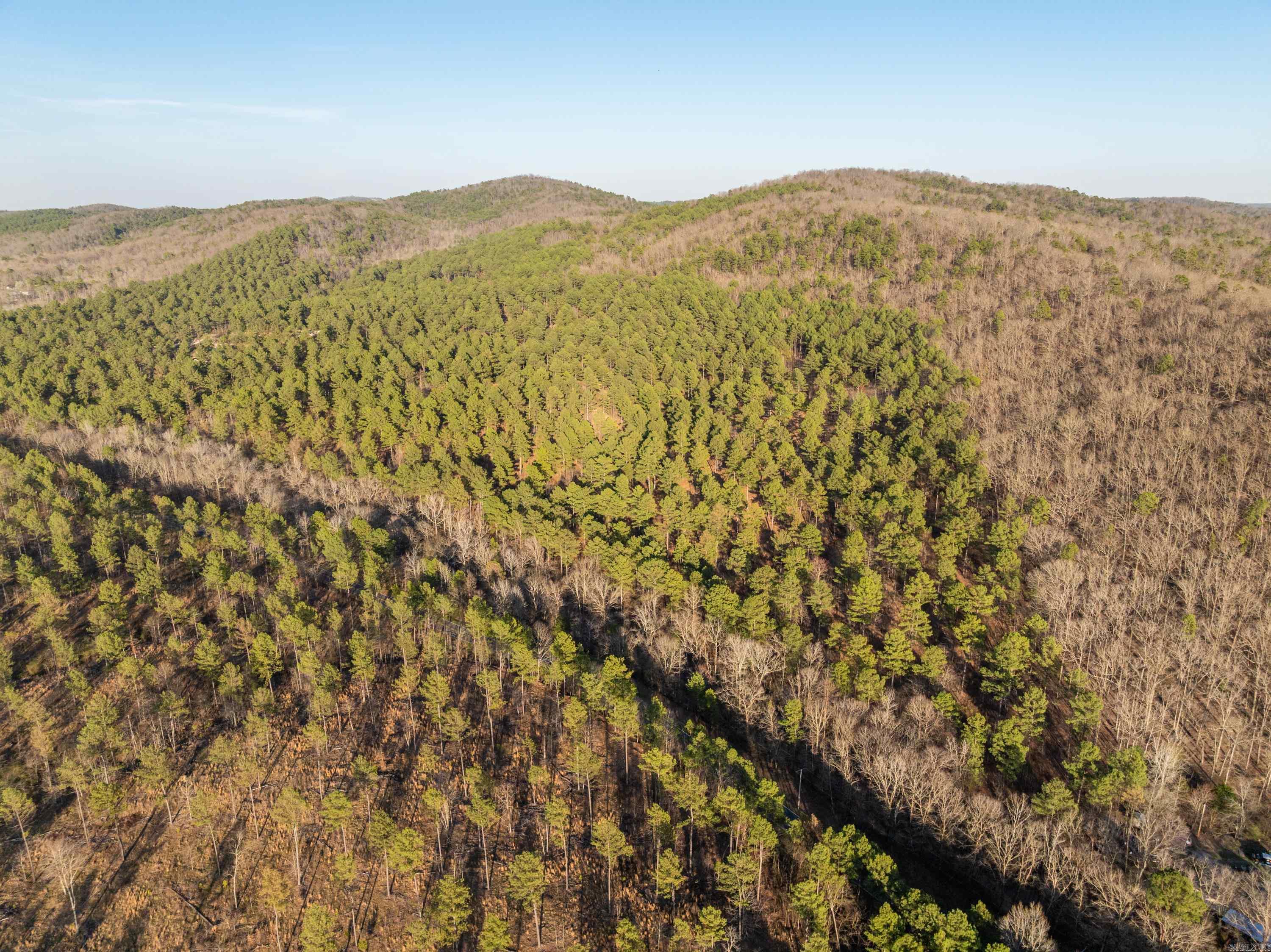 Tbd Cedar Creek Road Property Photo 6