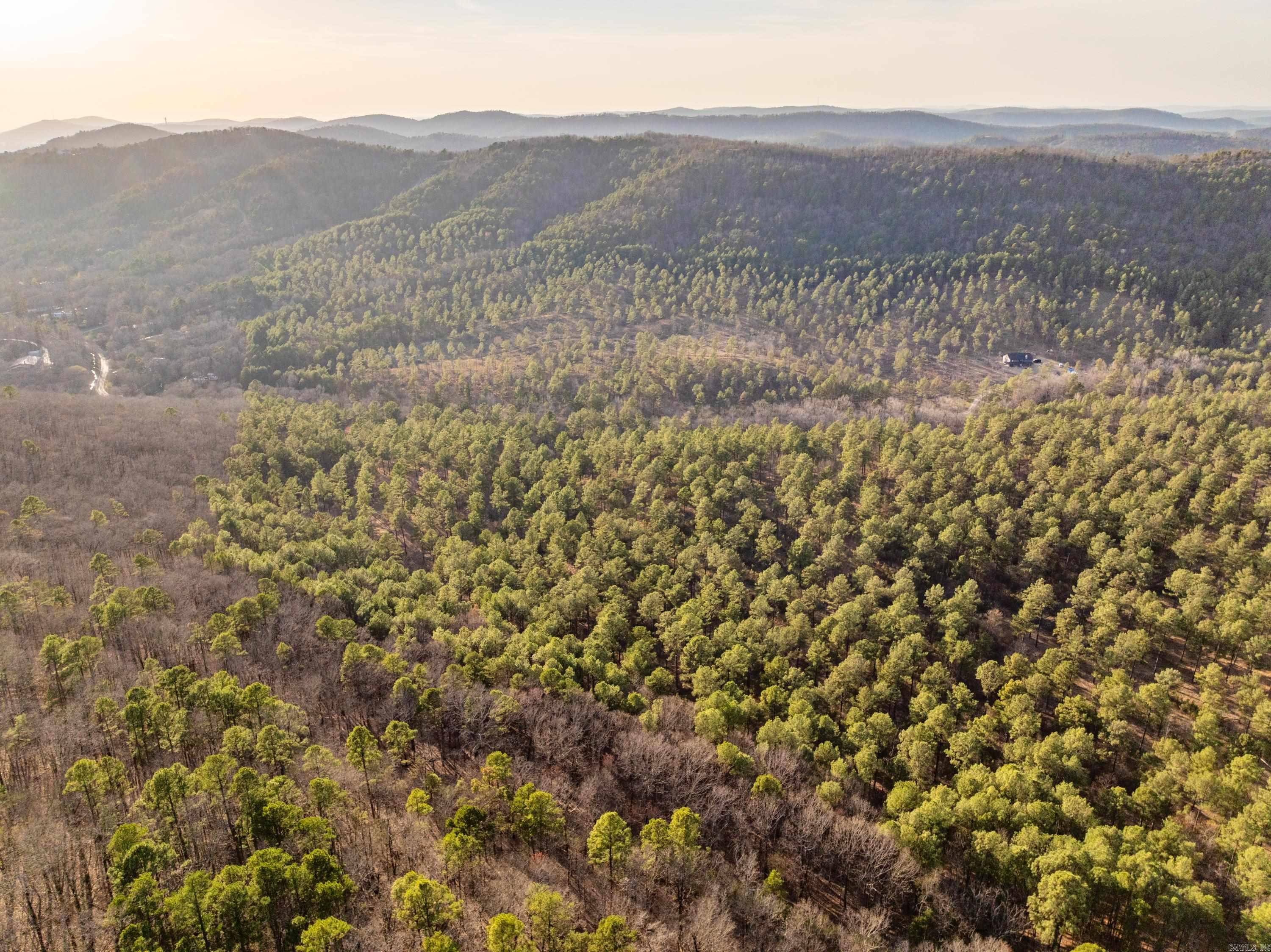 Tbd Cedar Creek Road Property Photo 9