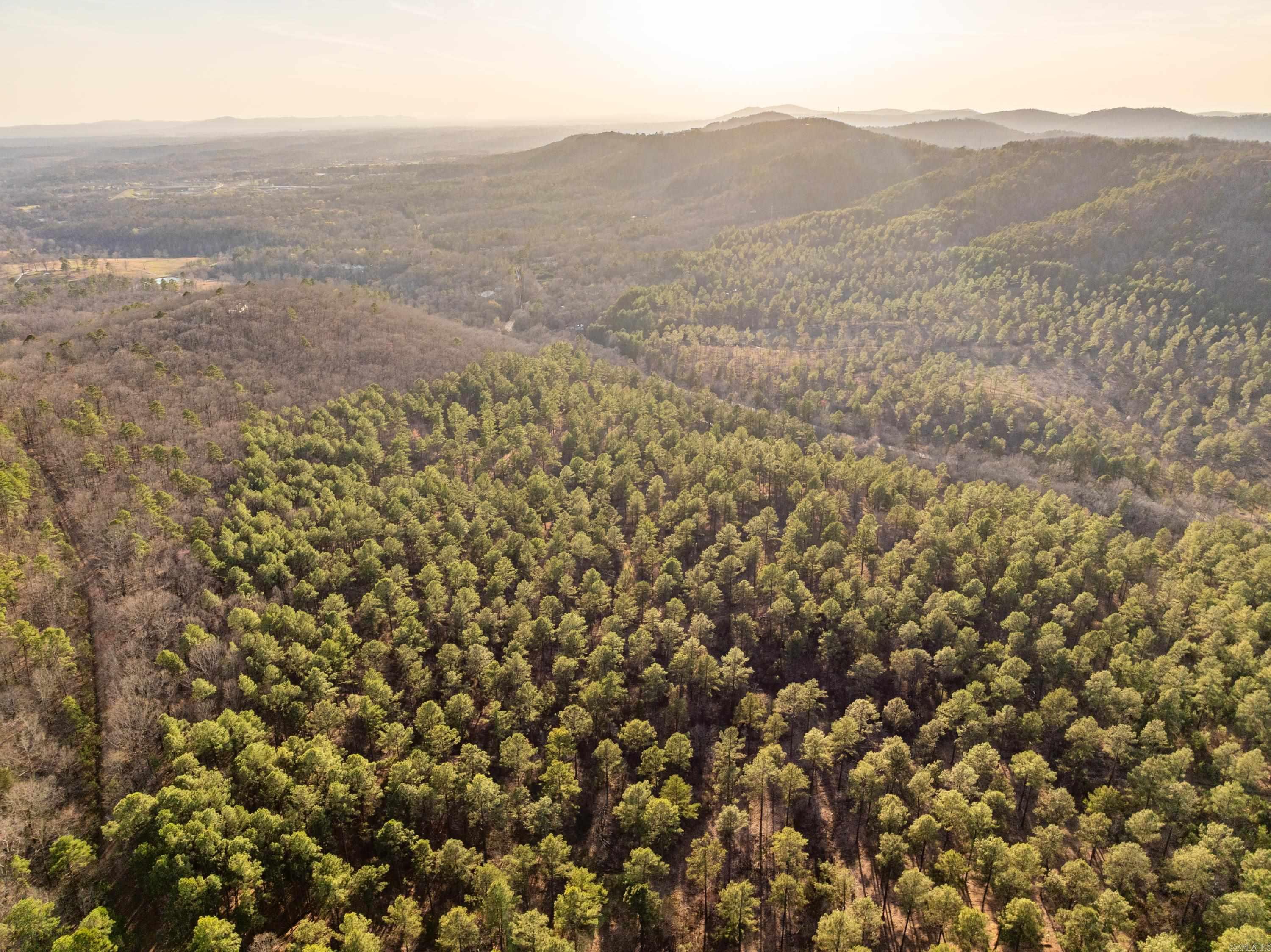 Tbd Cedar Creek Road Property Photo 10