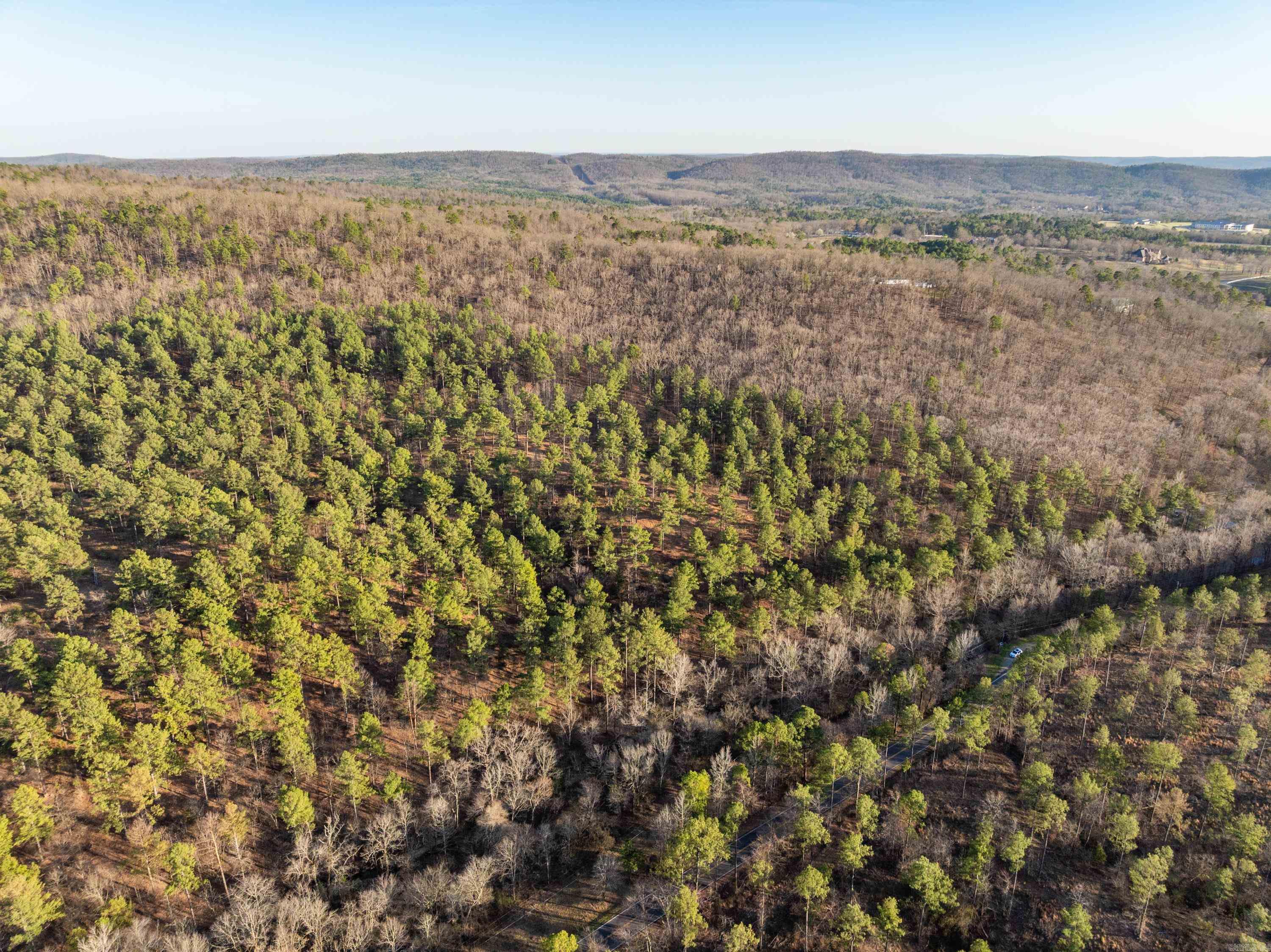 Tbd Cedar Creek Road Property Photo 11