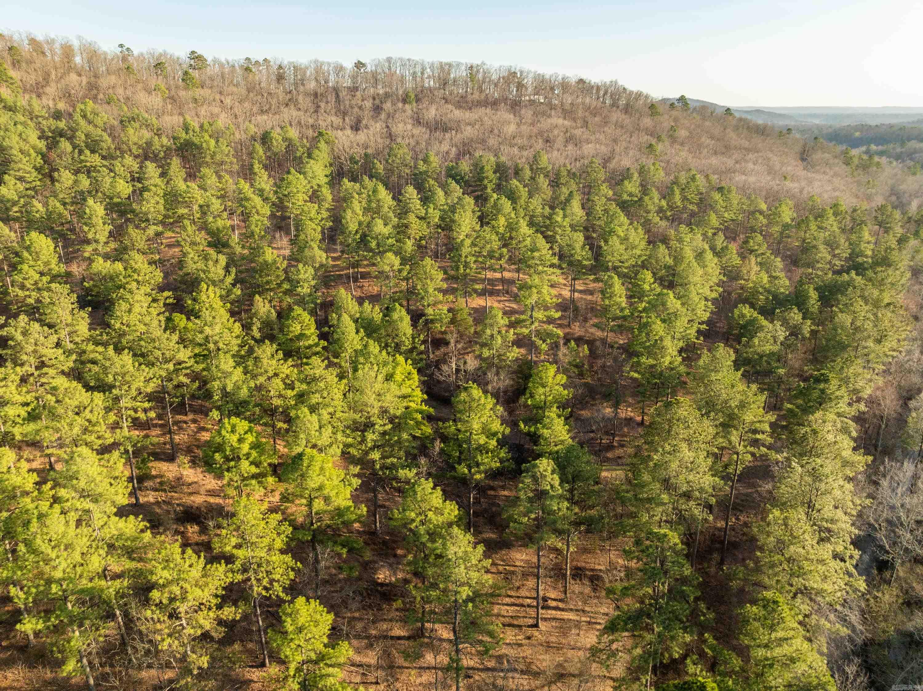 Tbd Cedar Creek Road Property Photo 12