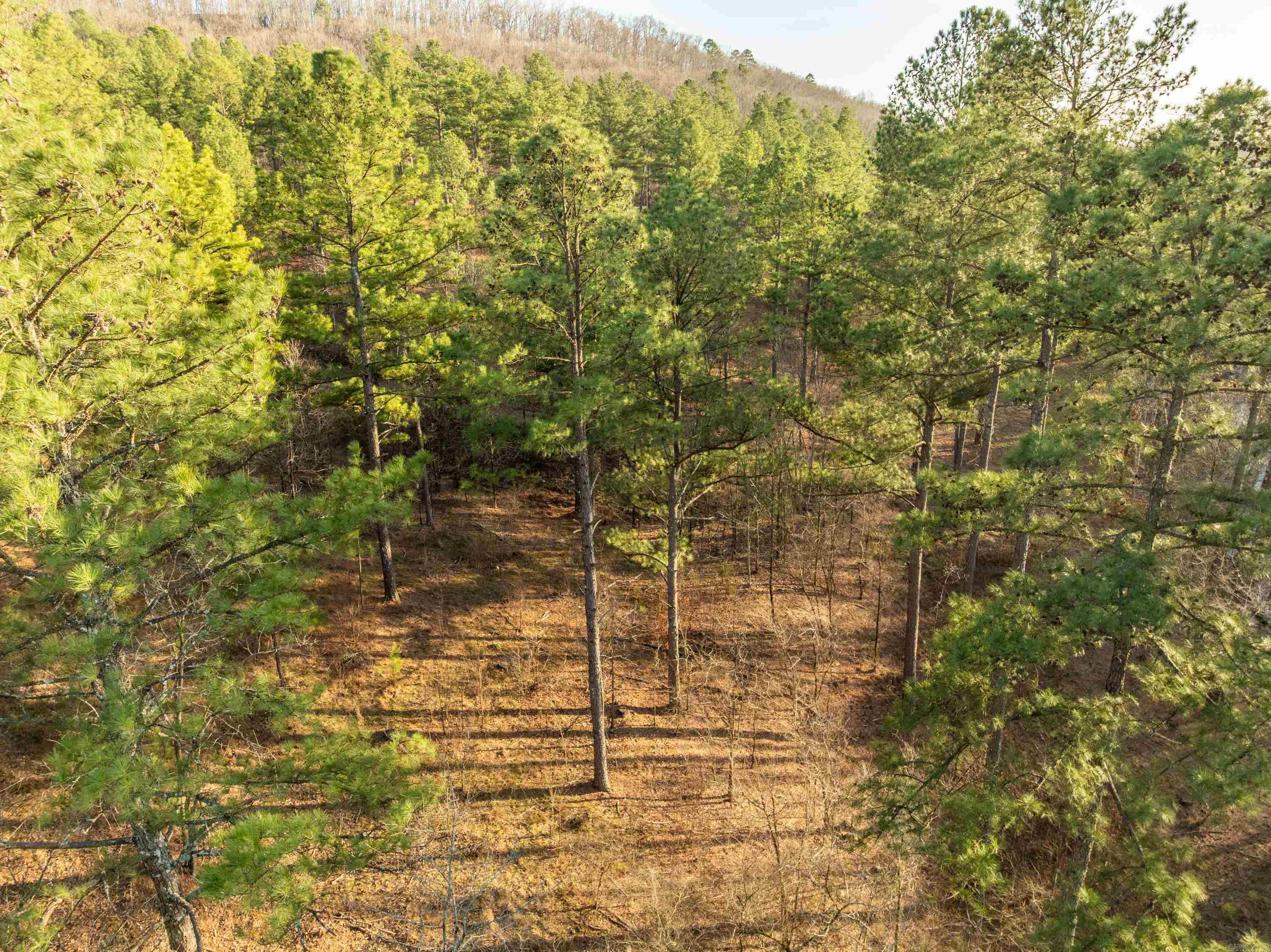 Tbd Cedar Creek Road Property Photo 13