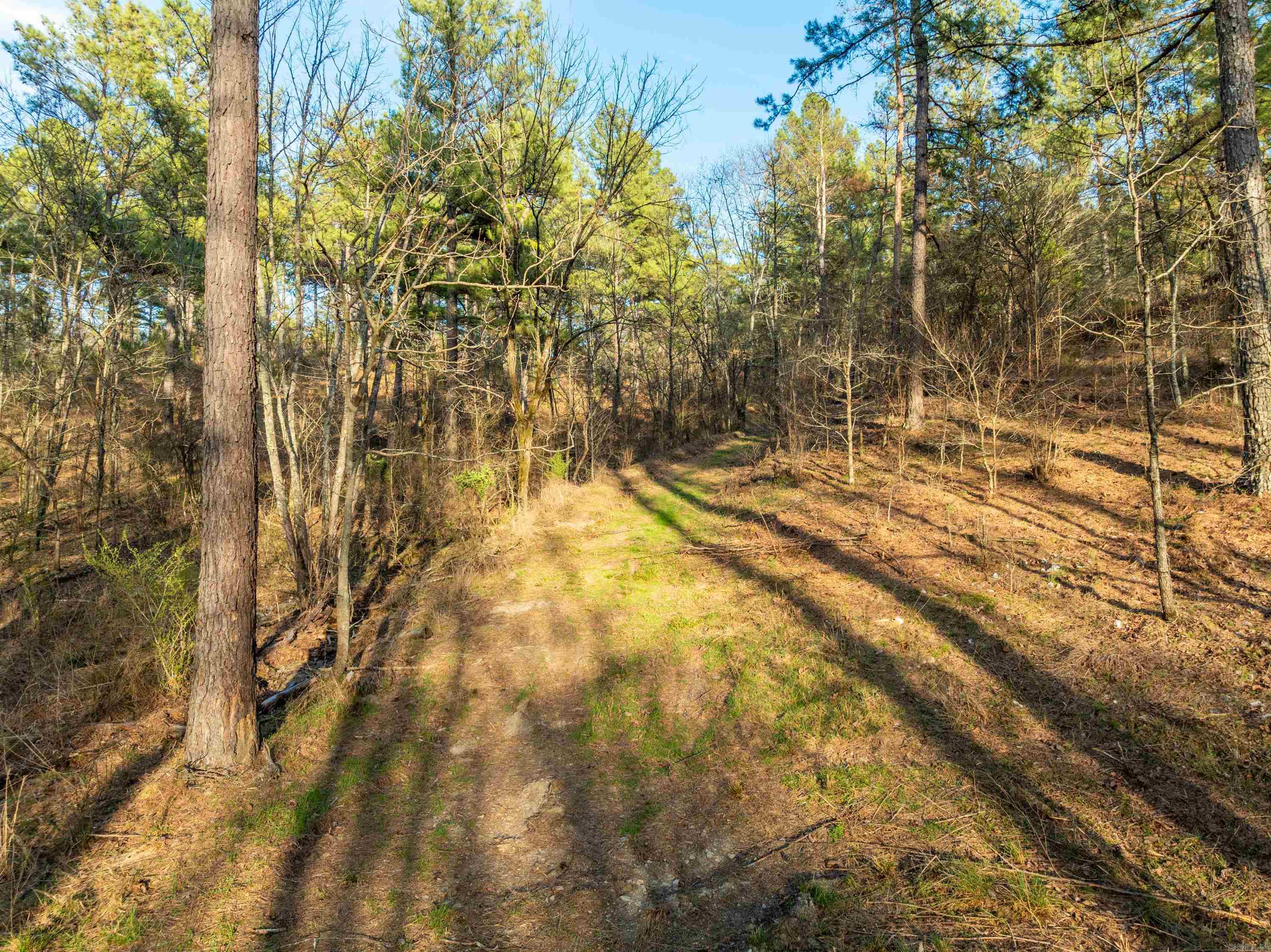 Tbd Cedar Creek Road Property Photo 14