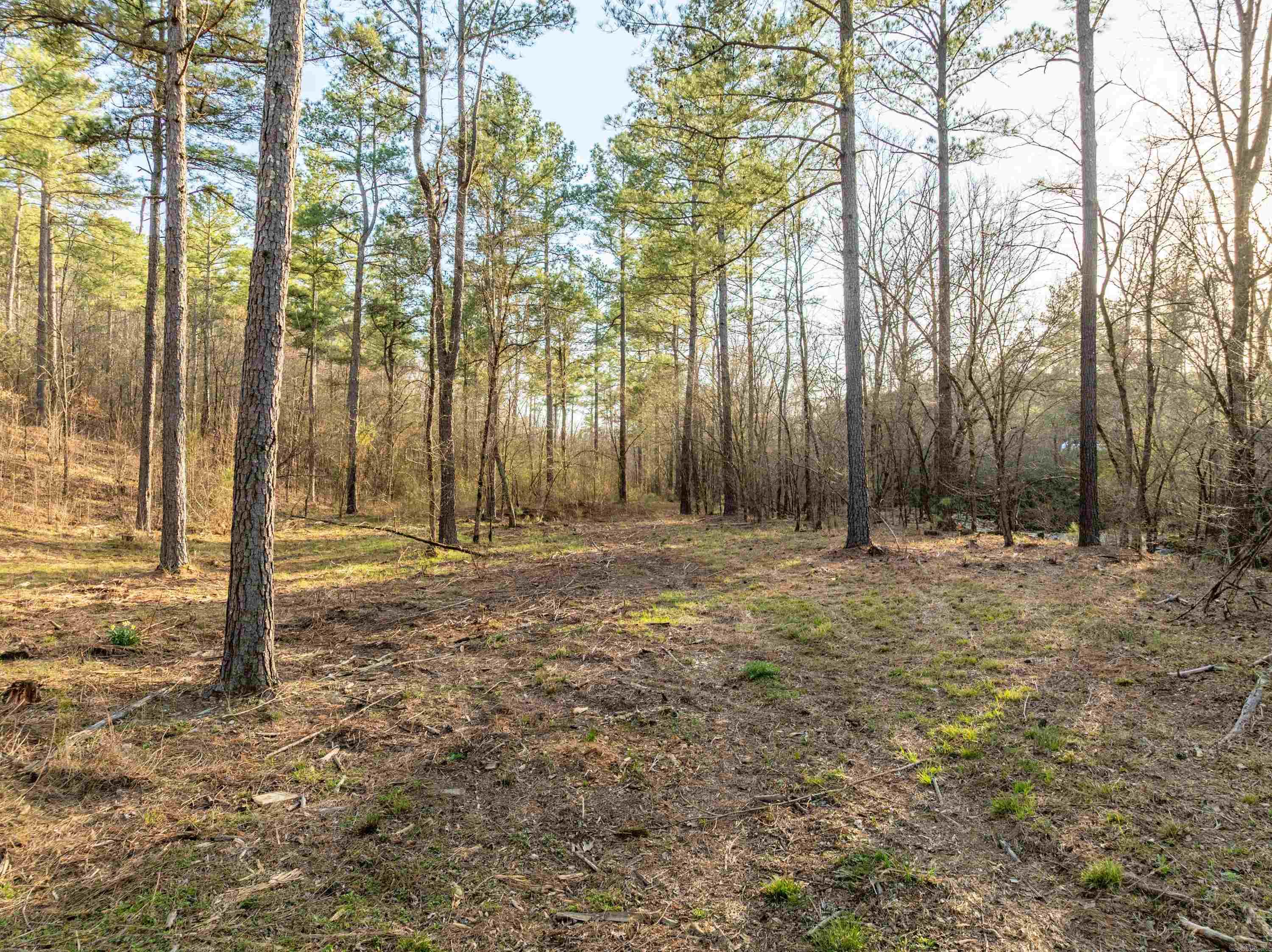 Tbd Cedar Creek Road Property Photo 15