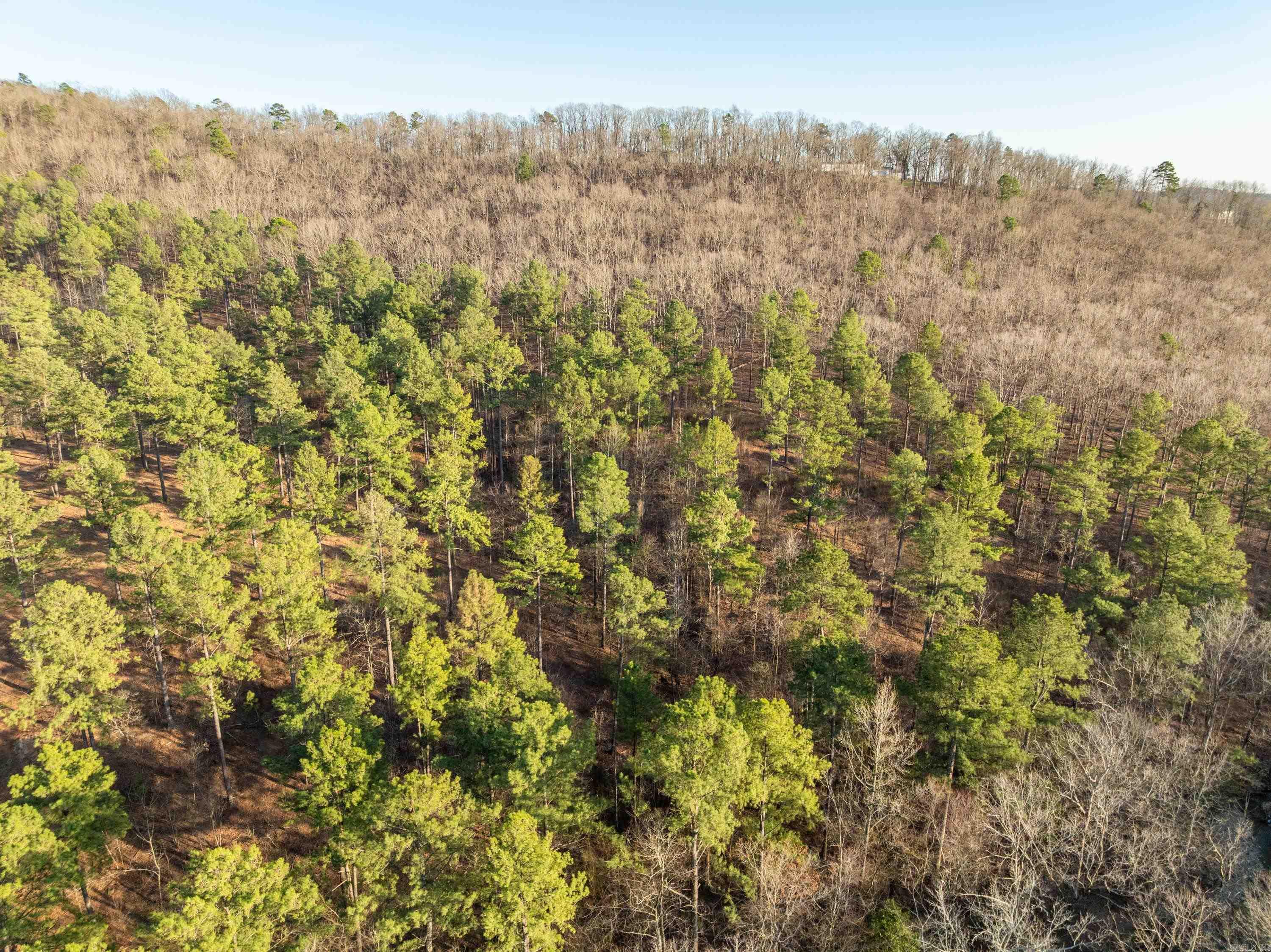 Tbd Cedar Creek Road Property Photo 16