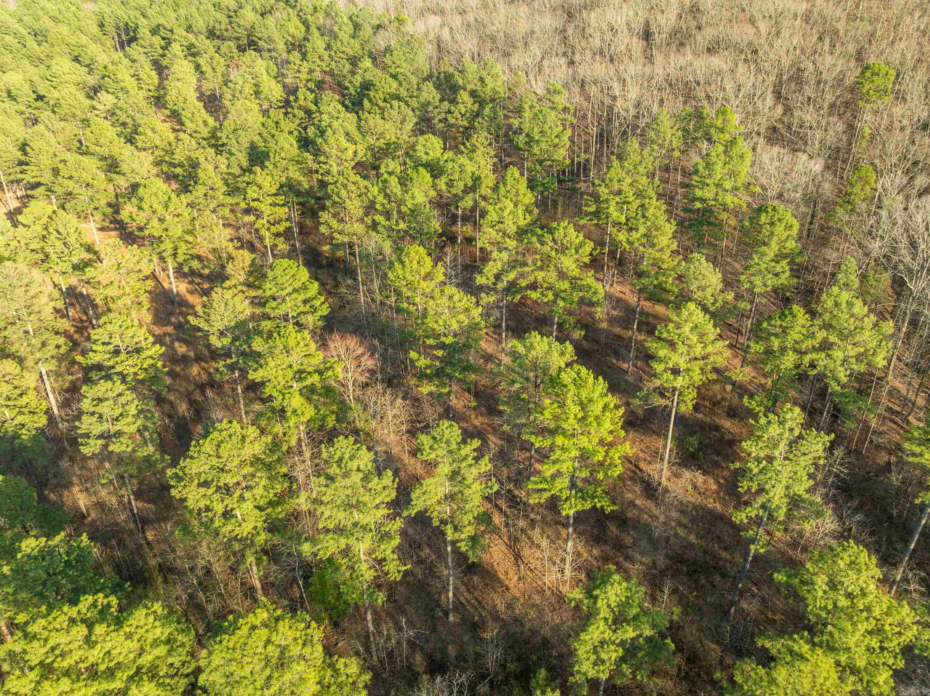 Tbd Cedar Creek Road Property Photo 17
