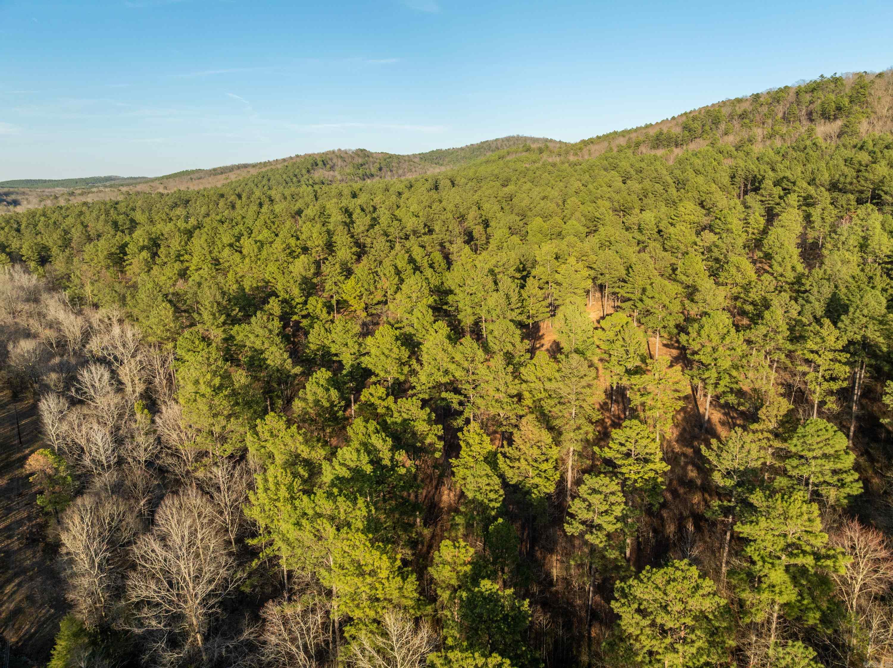 Tbd Cedar Creek Road Property Photo 18