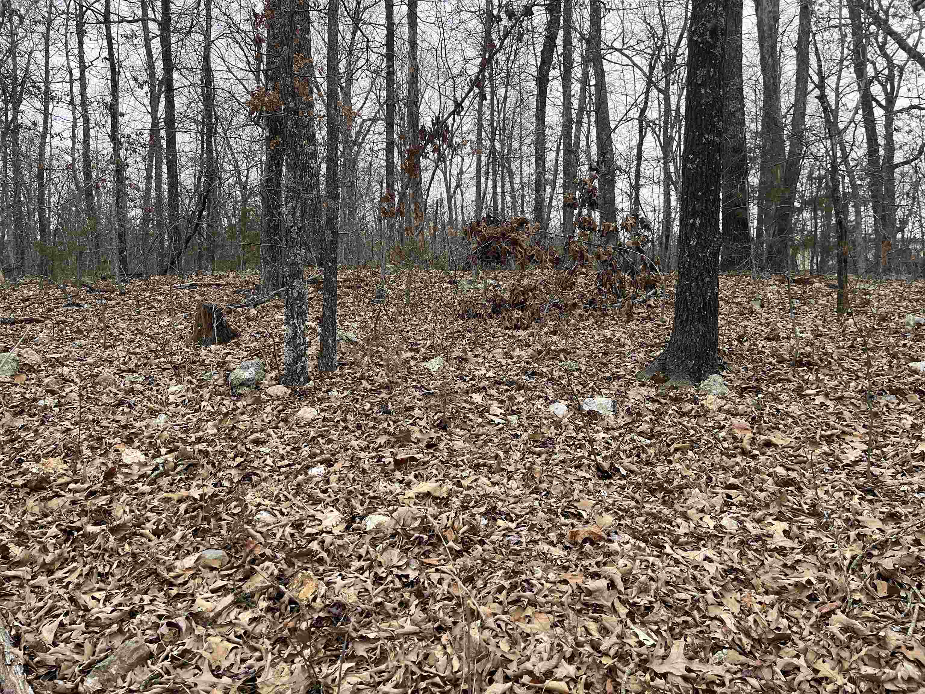 TBD Kamiakin Property Photo 1
