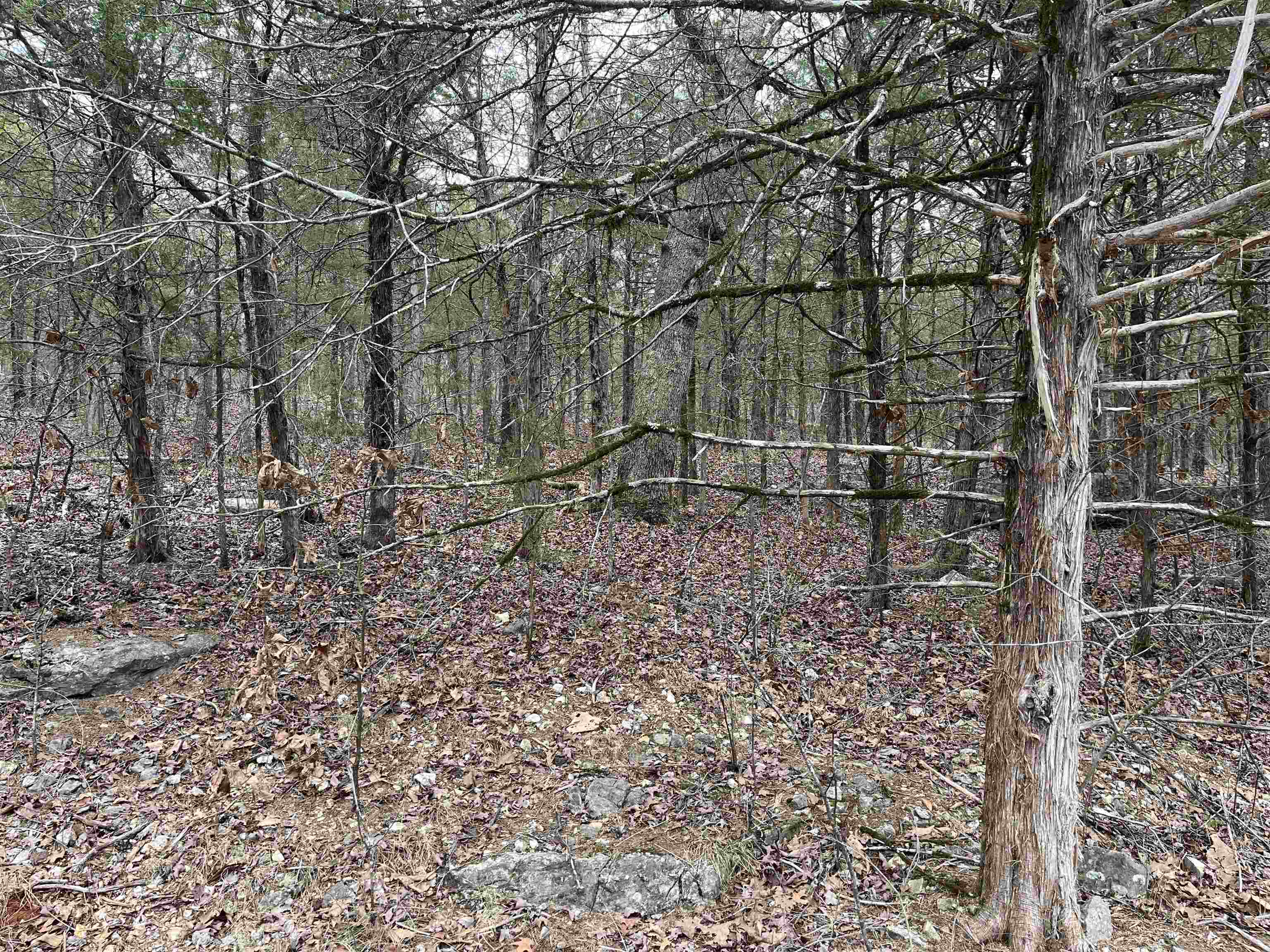 Tbd San Ildefonso Trace Property Photo 2