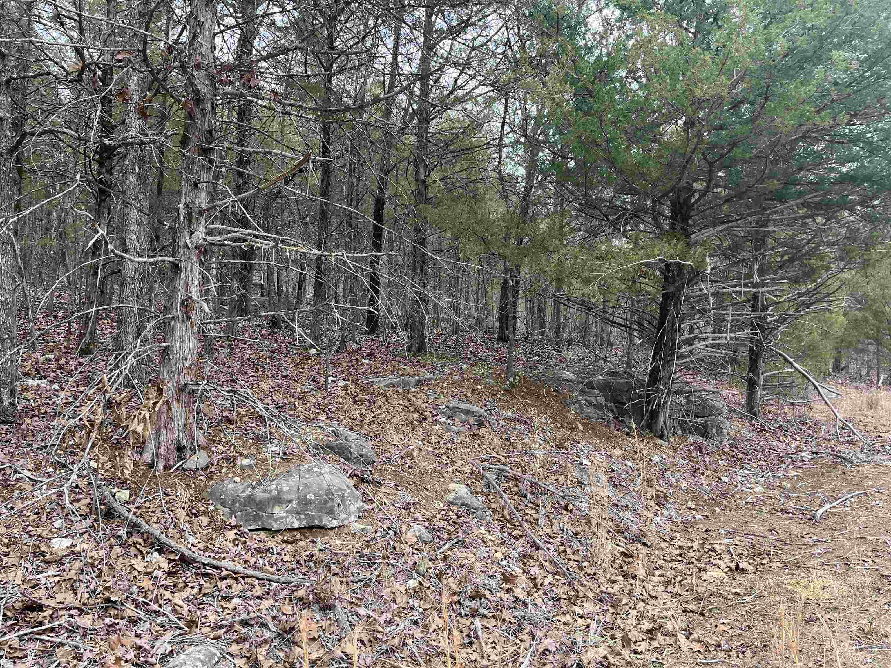 Tbd San Ildefonso Trace Property Photo 3