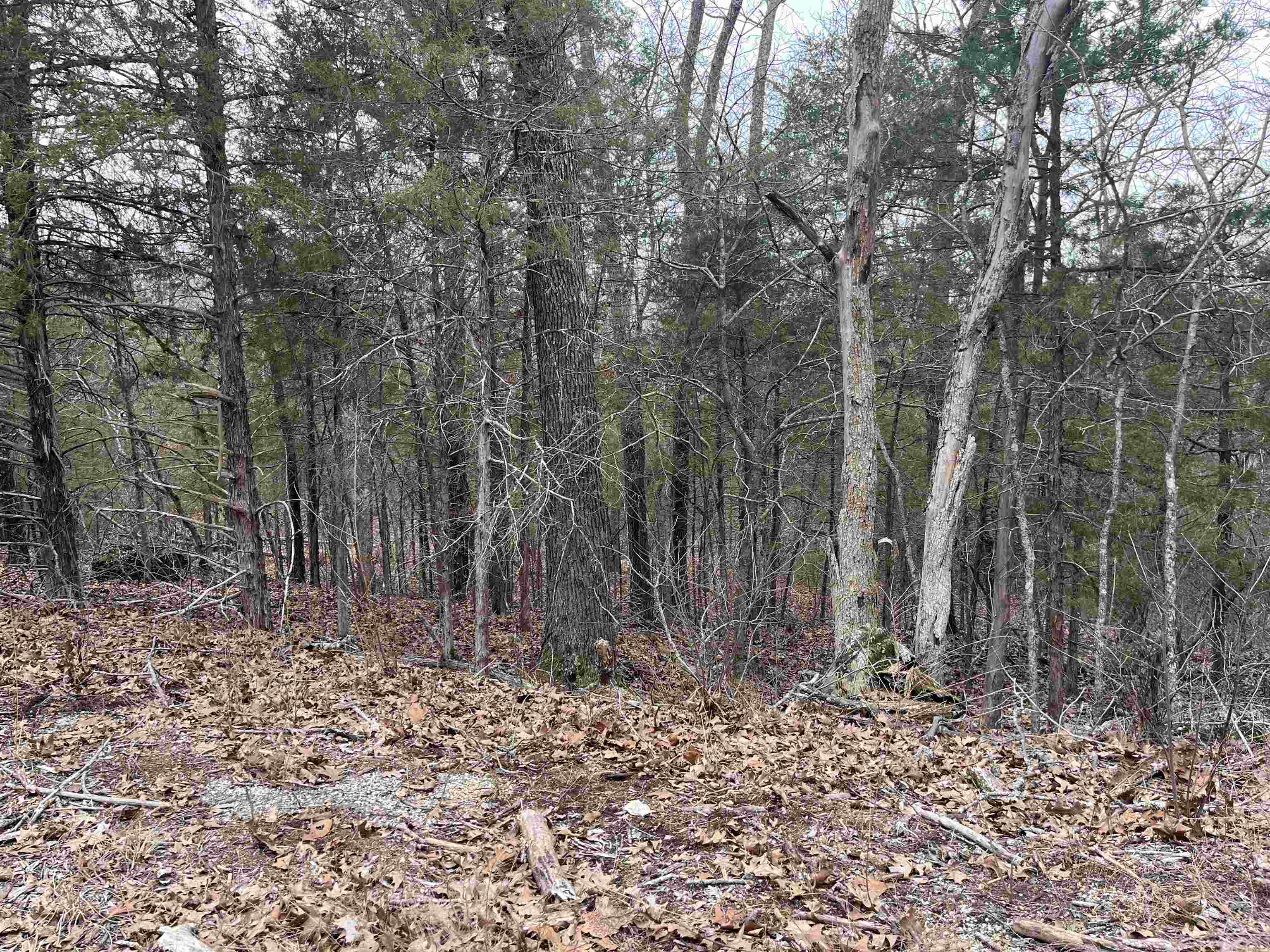 Tbd San Ildefonso Trace Property Photo 4