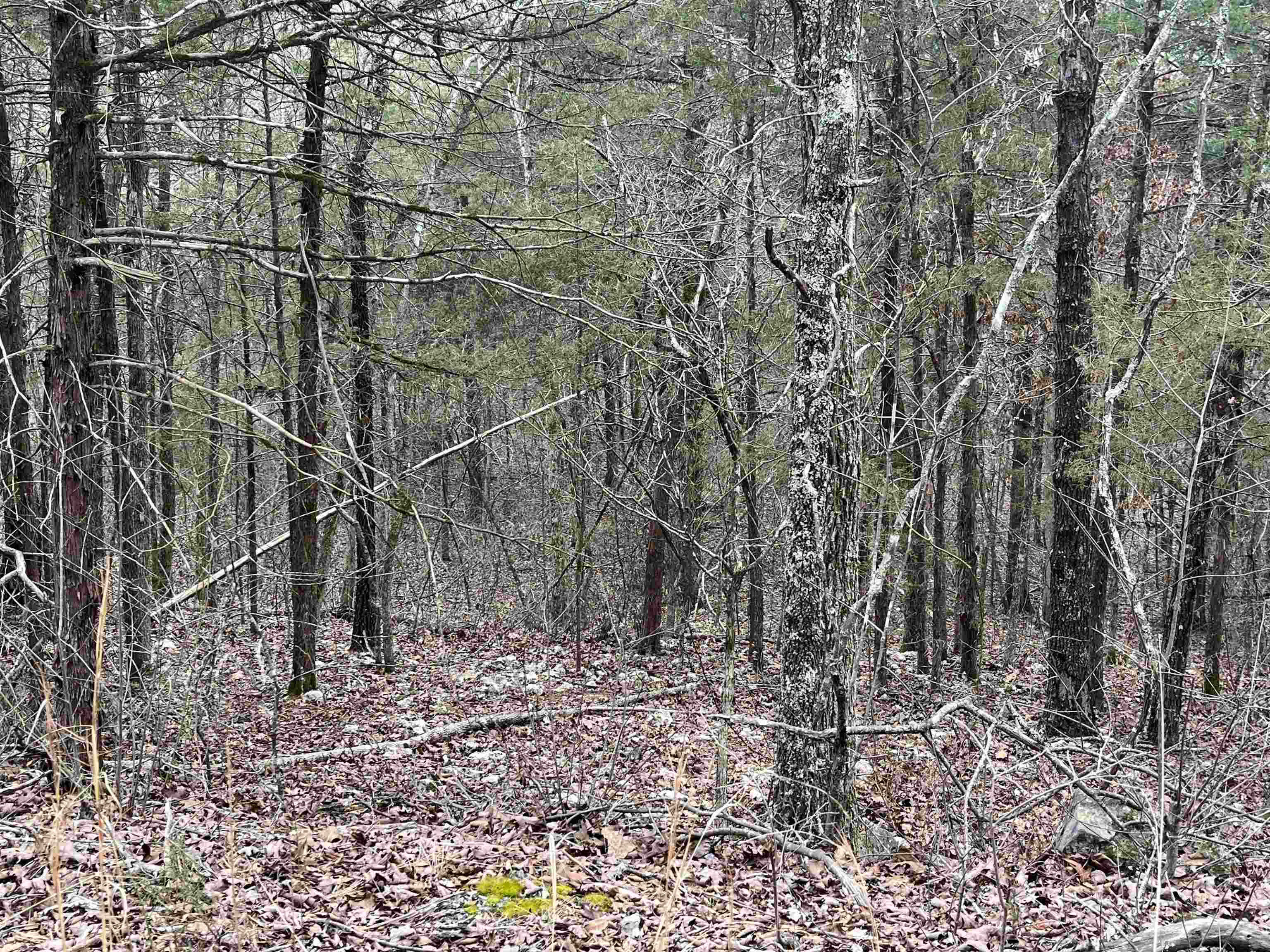 Tbd San Ildefonso Trace Property Photo 5
