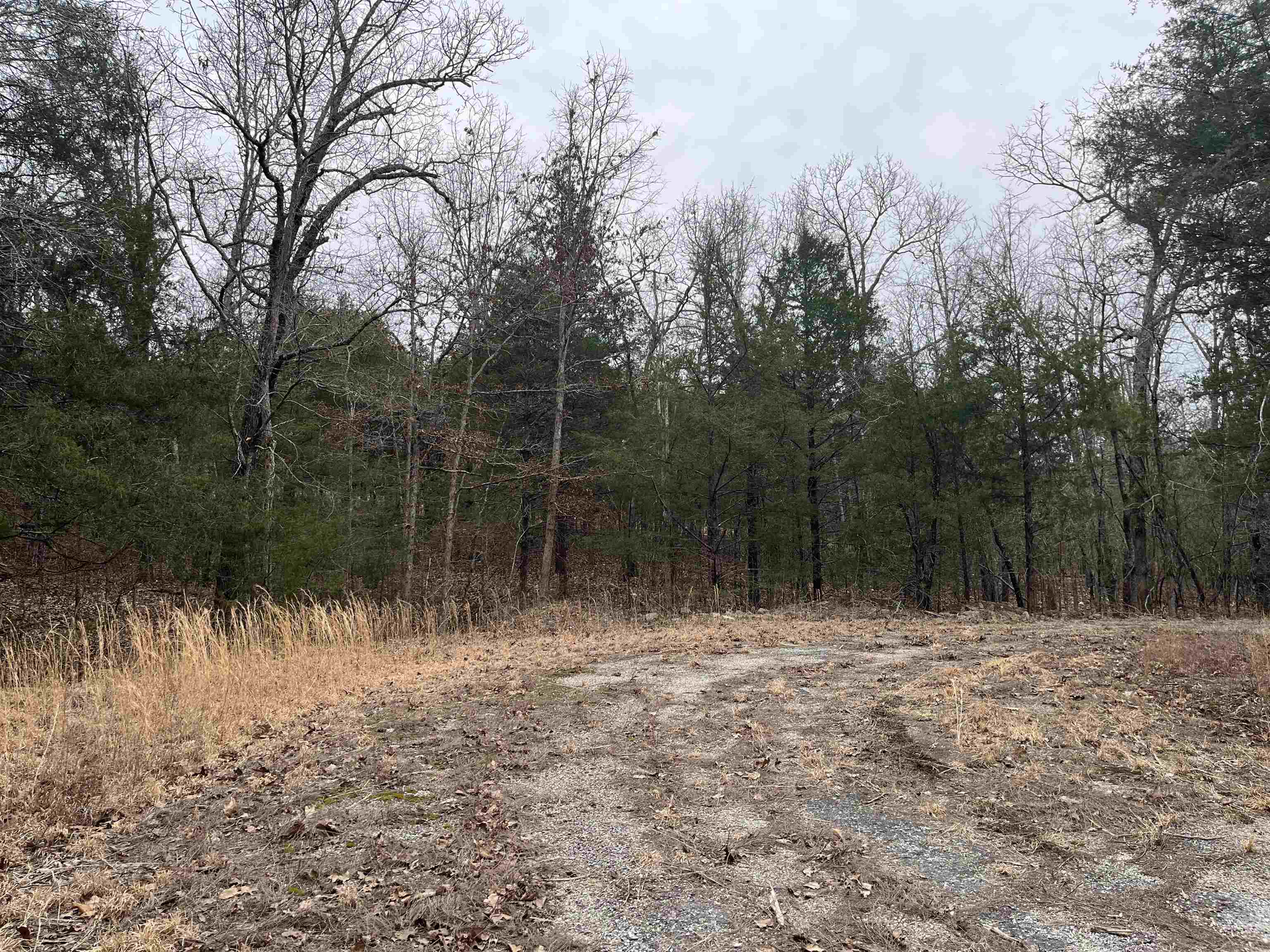 Tbd San Ildefonso Trace Property Photo 6