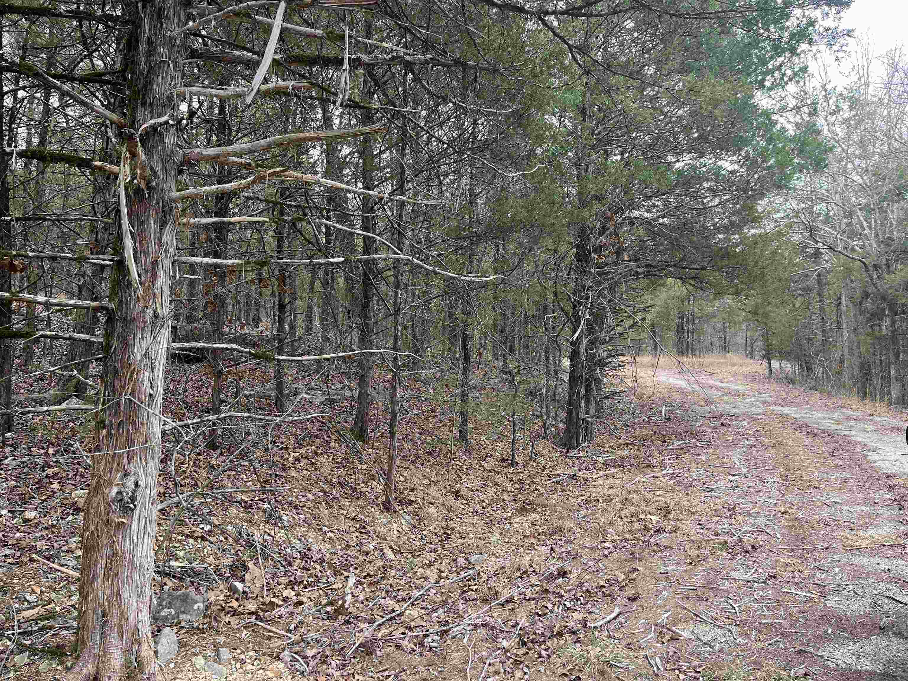 Tbd San Ildefonso Trace Property Photo 7