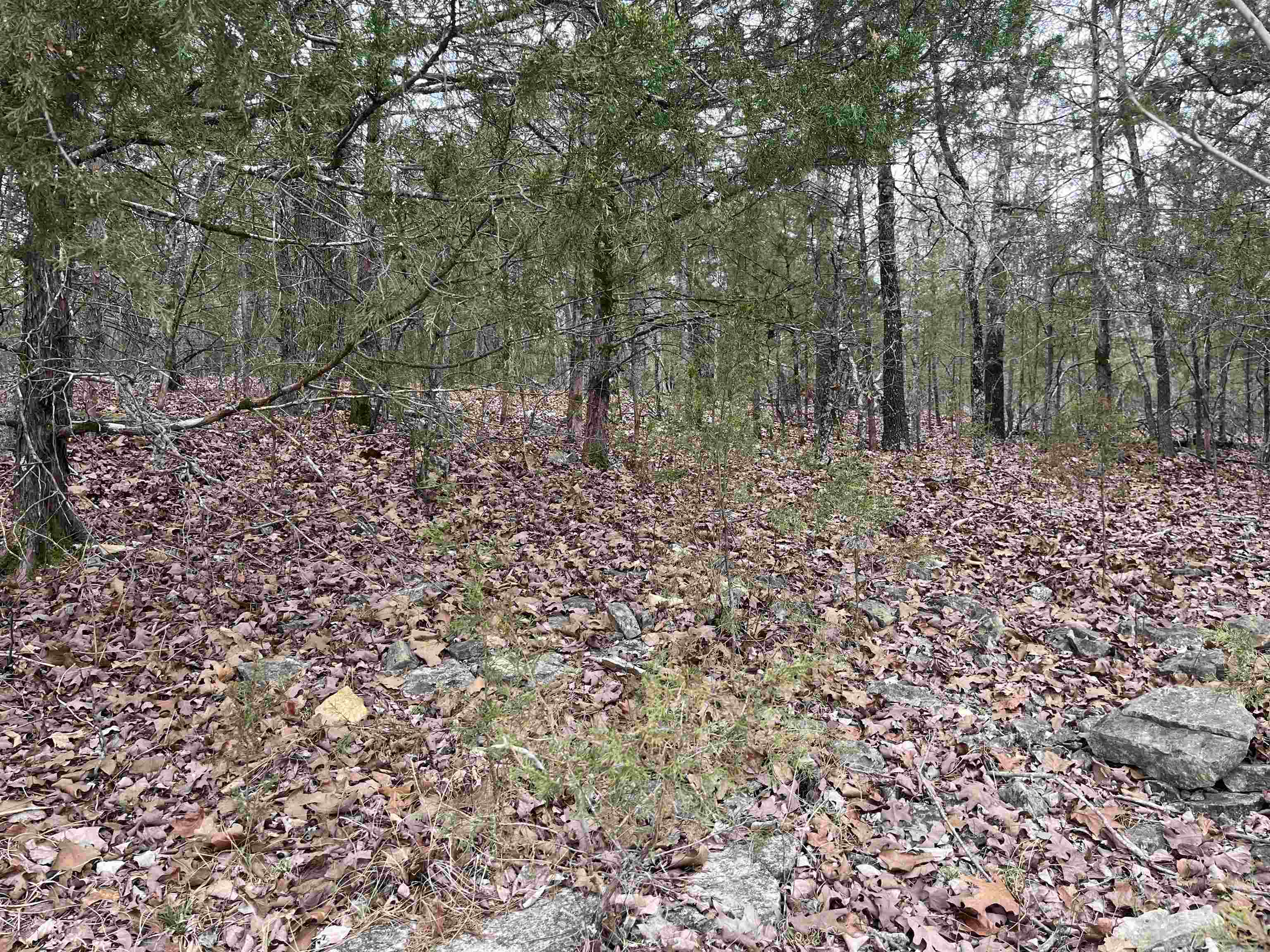 TBD Isleta Drive Property Photo 1