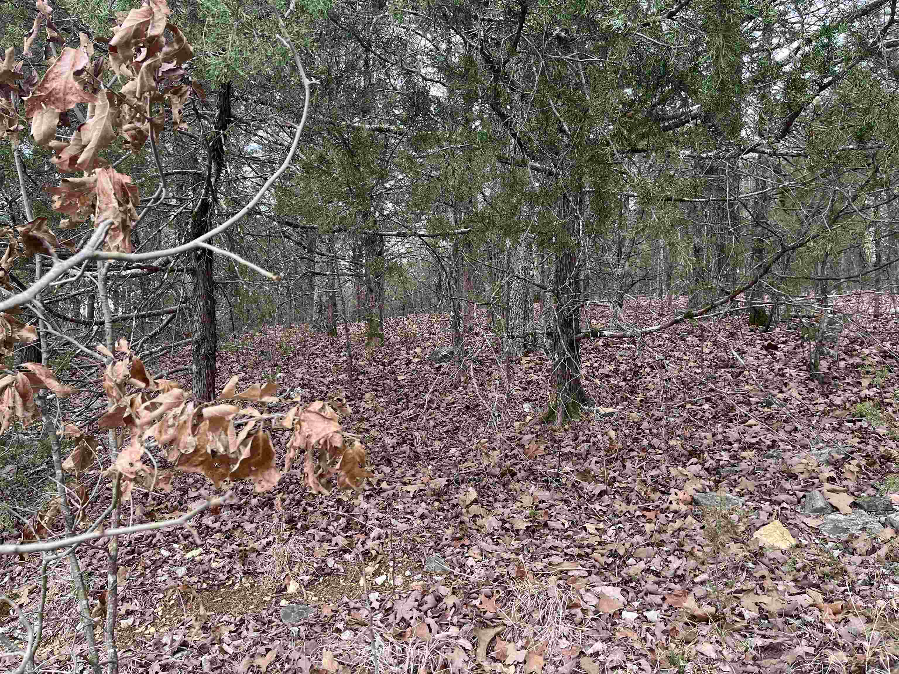 Tbd Isleta Drive Property Photo 2