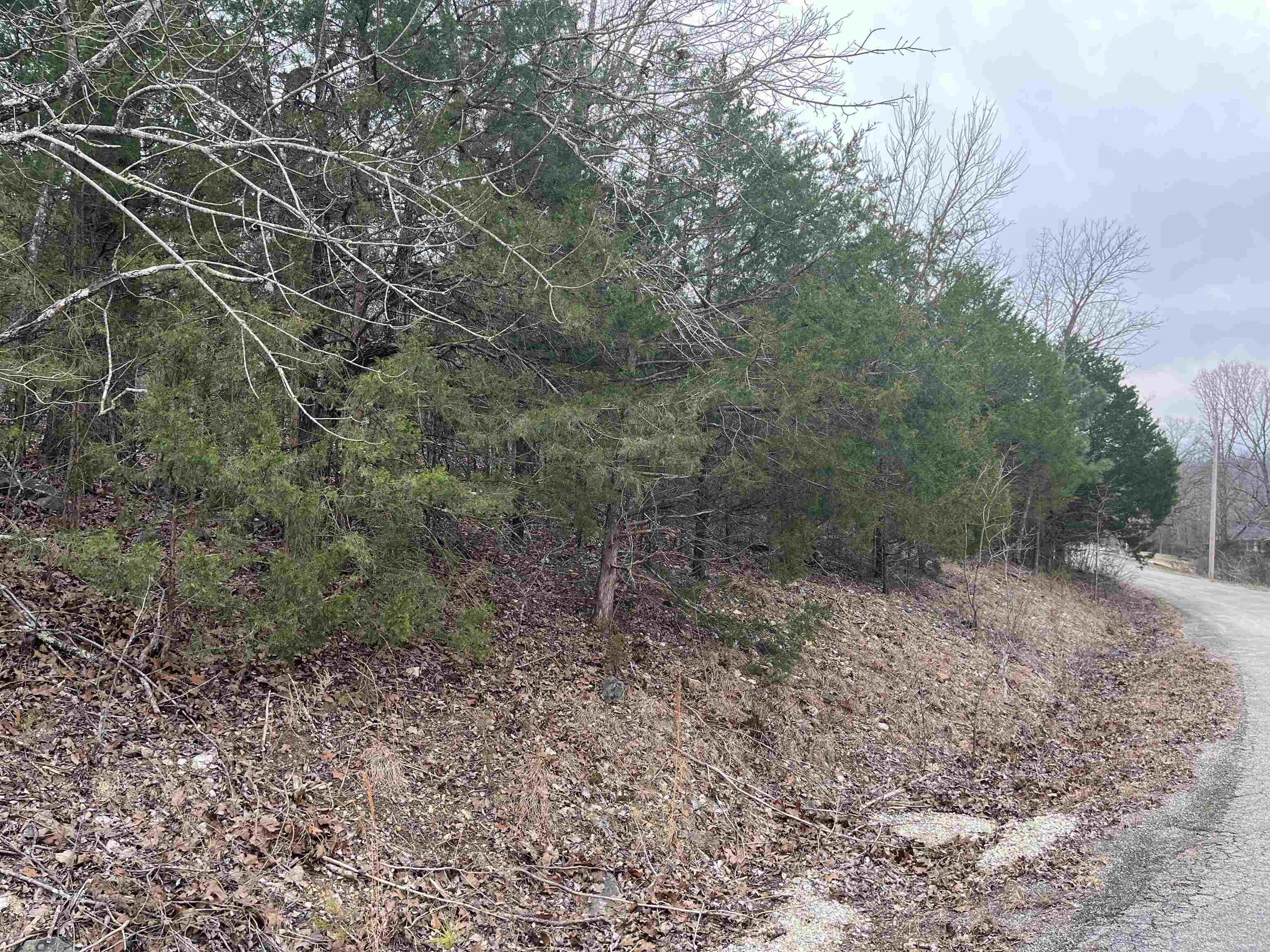 Tbd Isleta Drive Property Photo 5