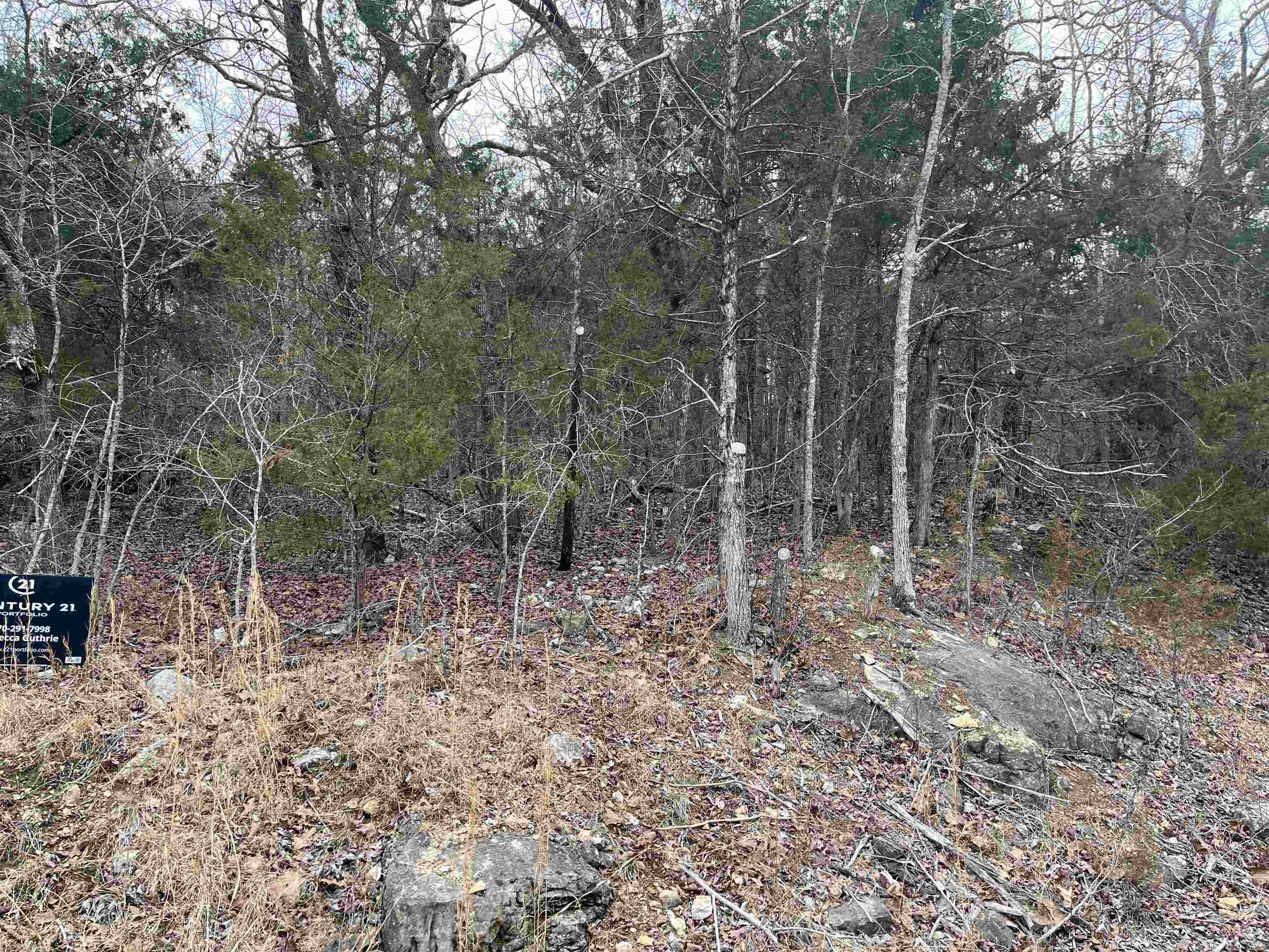 Tbd Isleta Property Photo 3